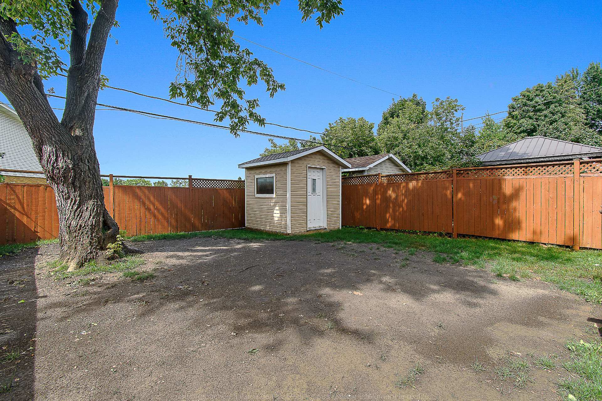 Backyard