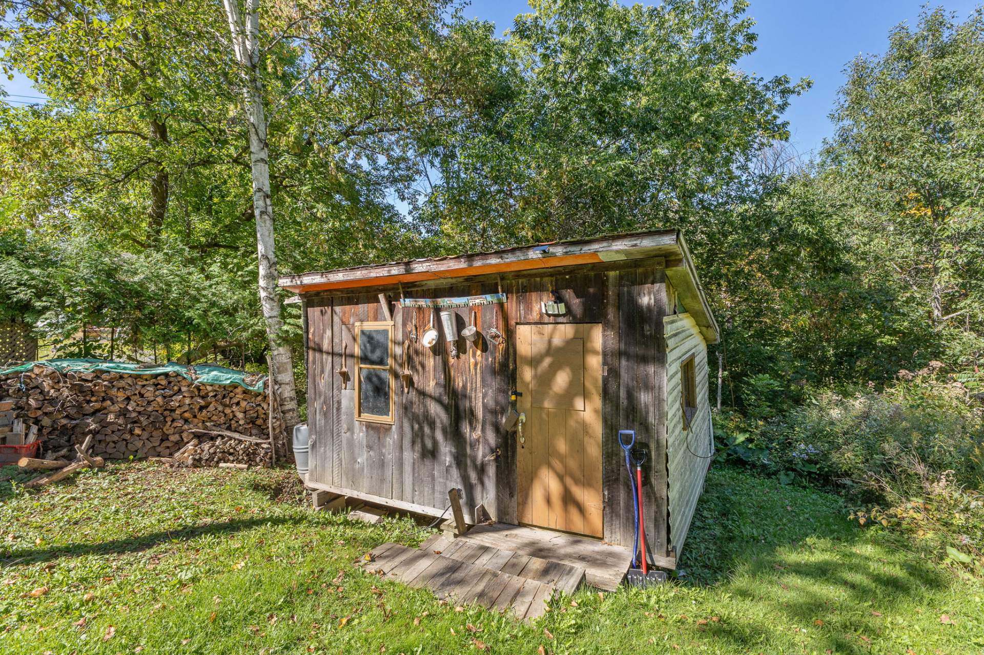 Shed