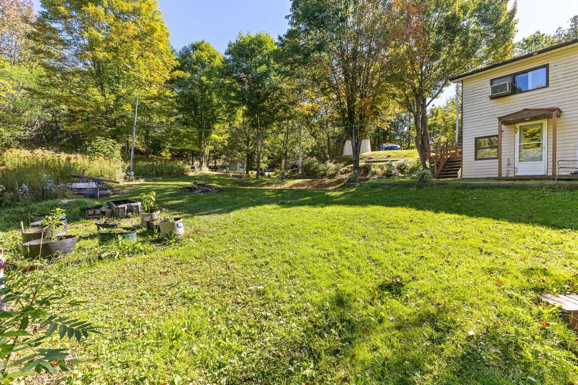 Backyard