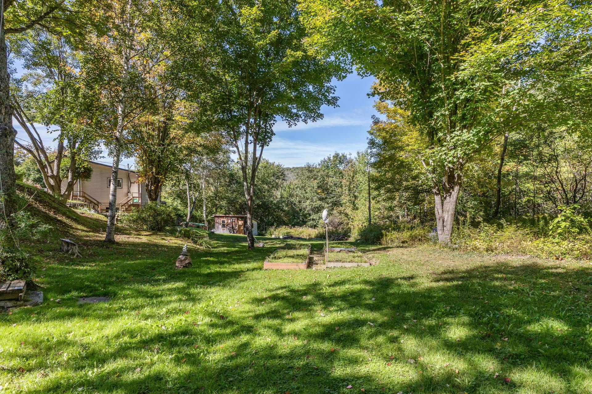 Backyard