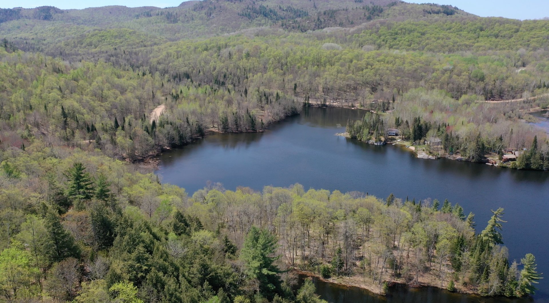 Overall view
