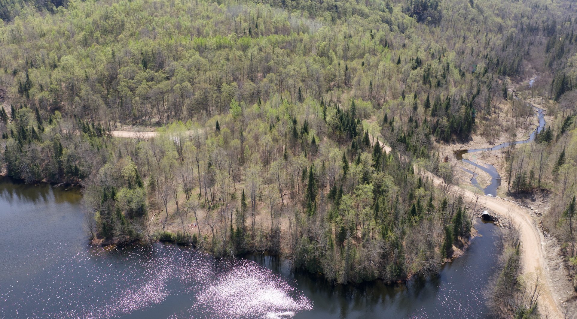 Overall view
