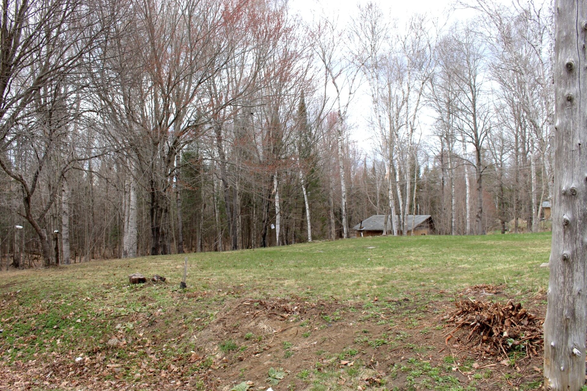 Land/Lot