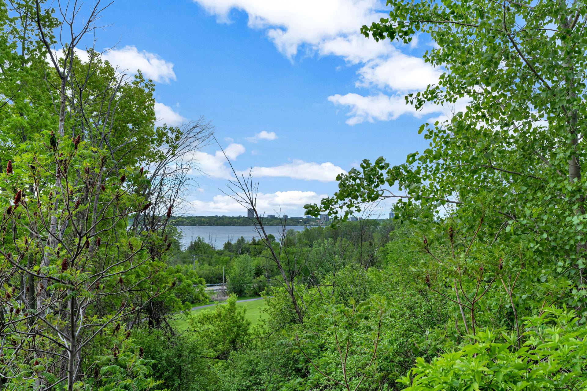 Water view