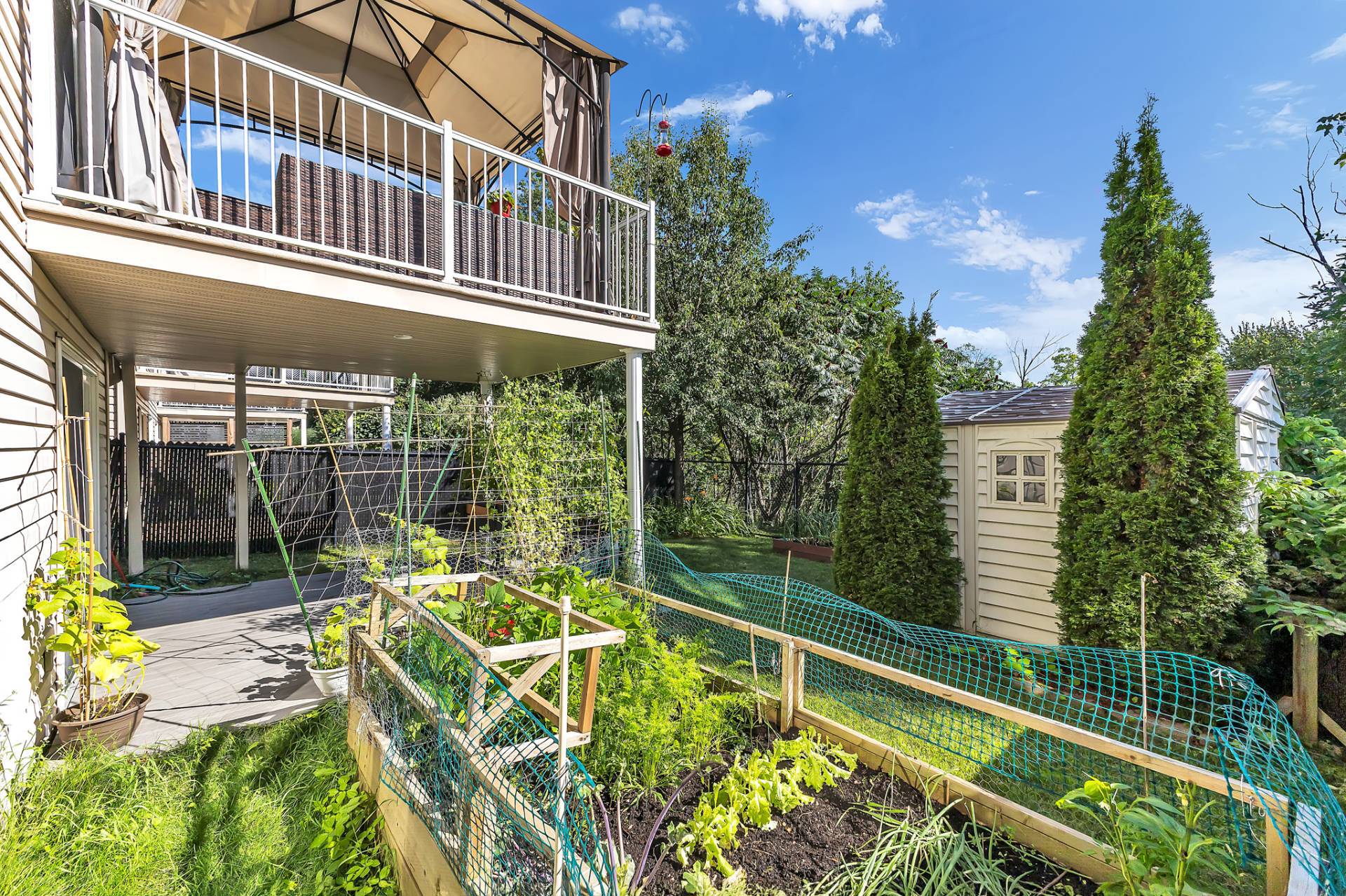 Backyard