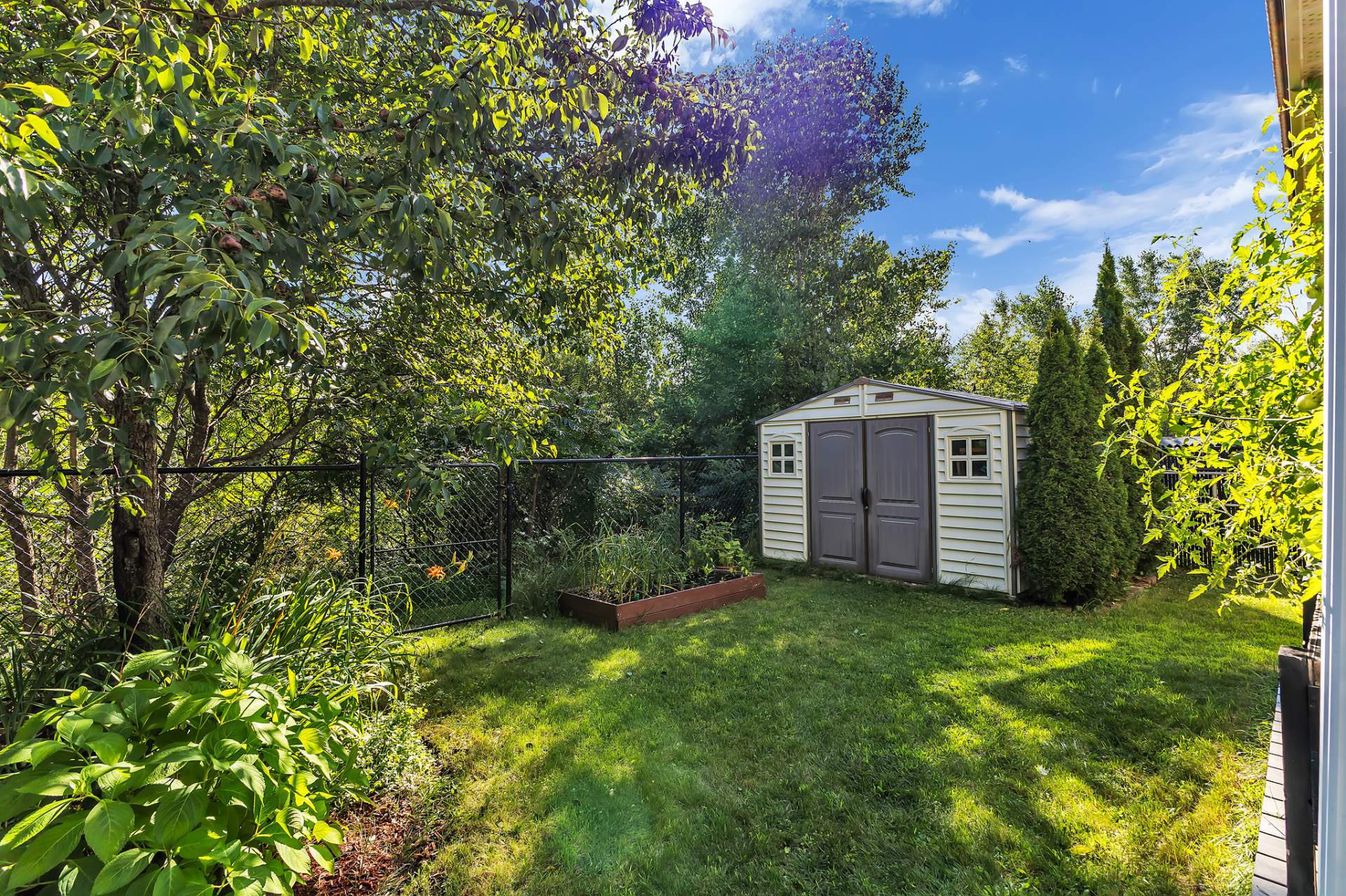Backyard