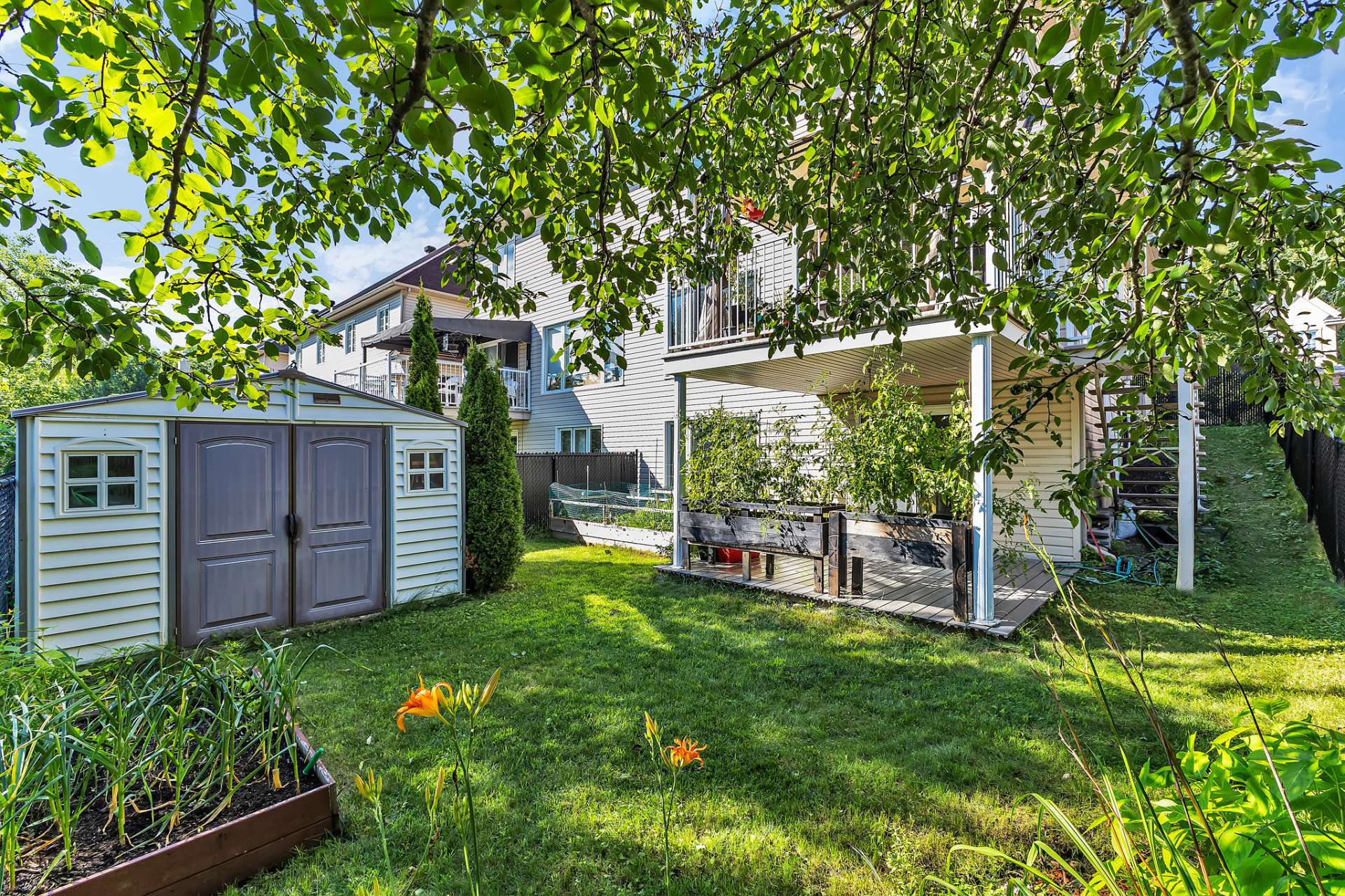 Backyard