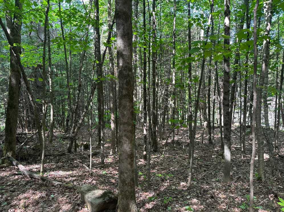 7 Ch. du Beaver-Pond 