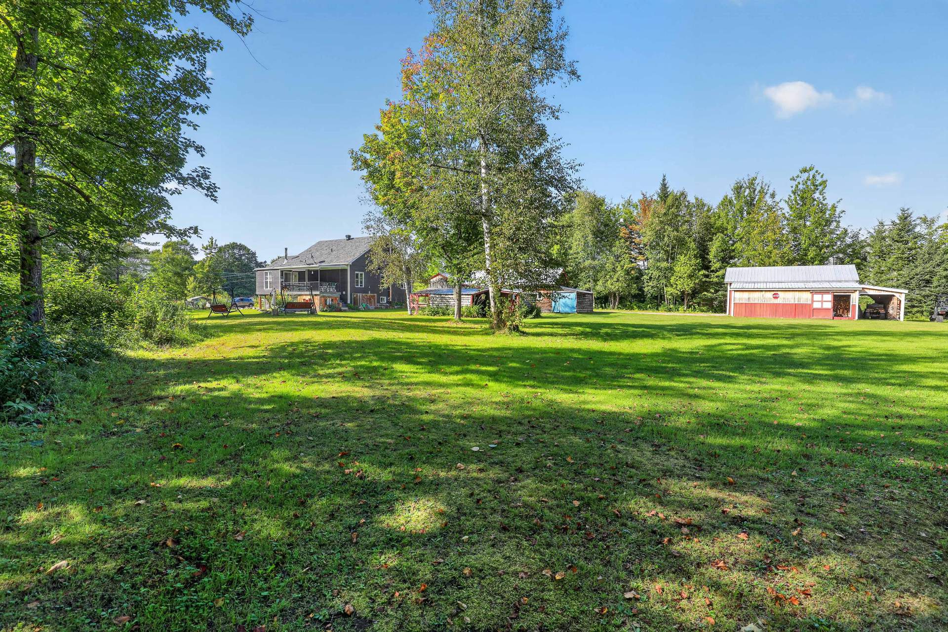 Backyard