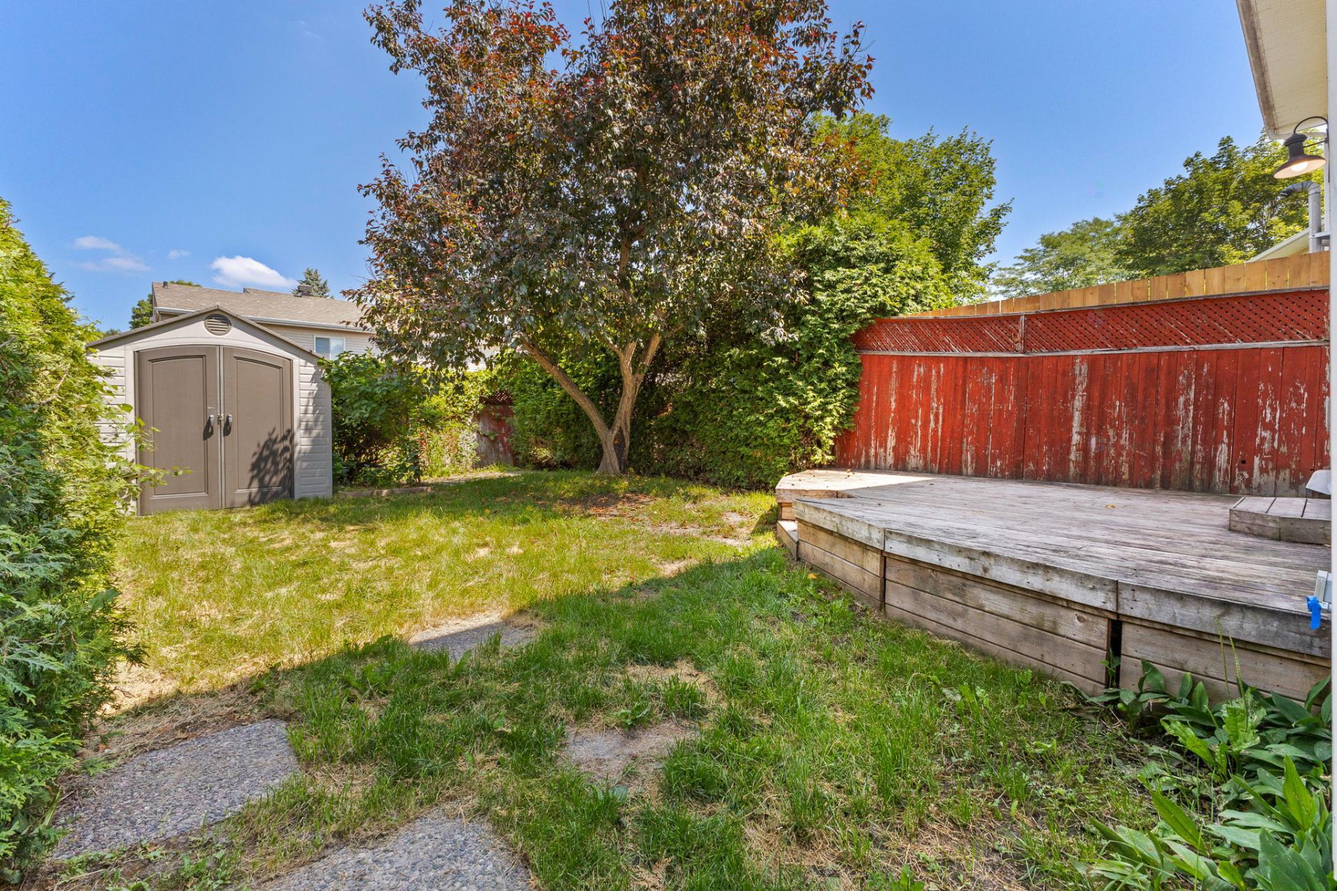 Backyard