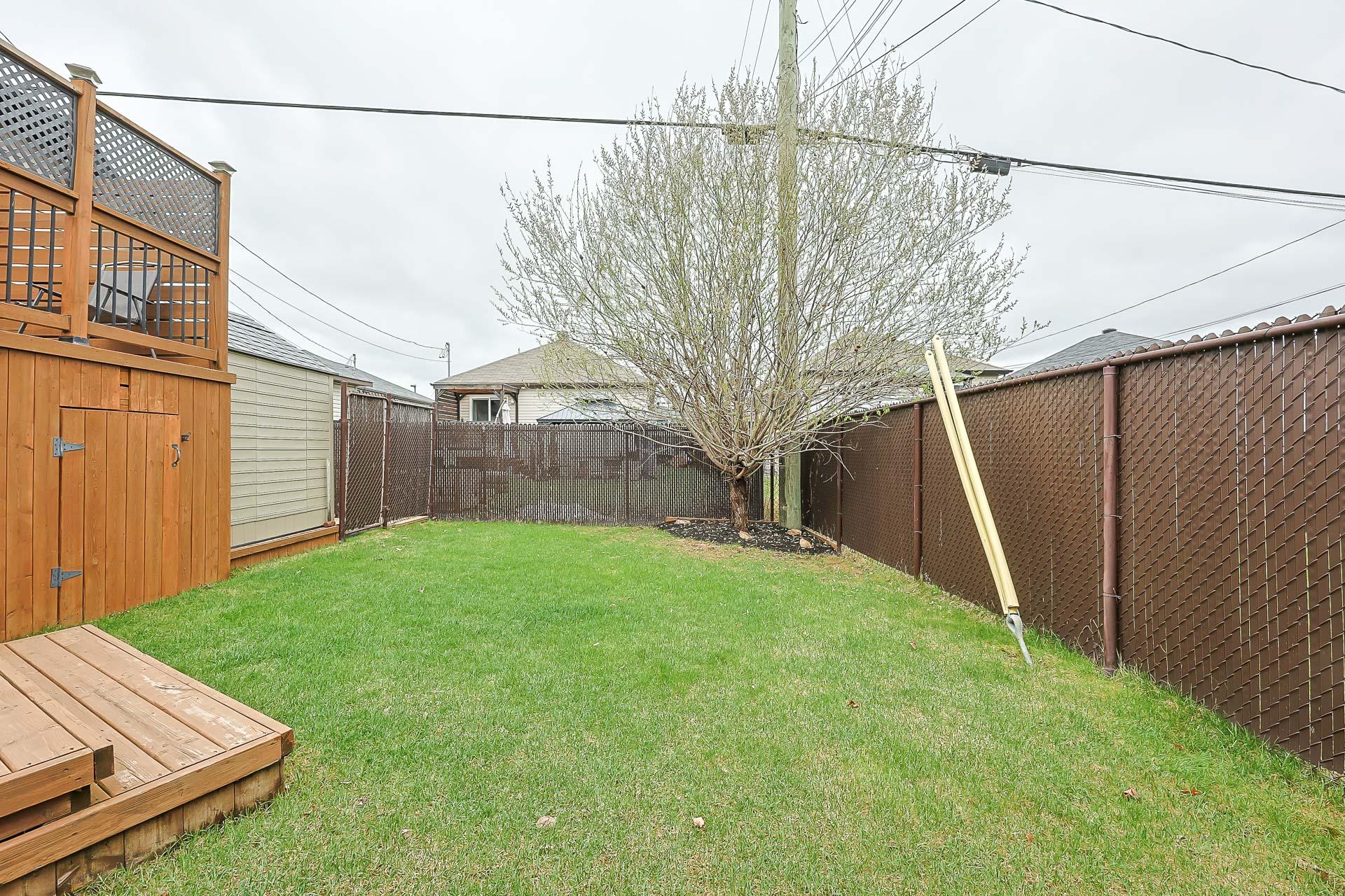 Backyard