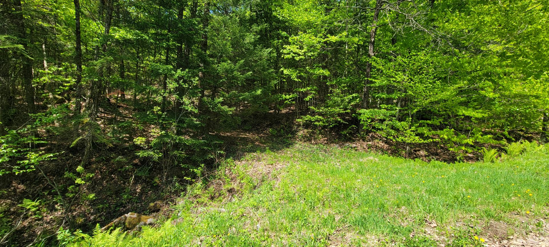 Land/Lot