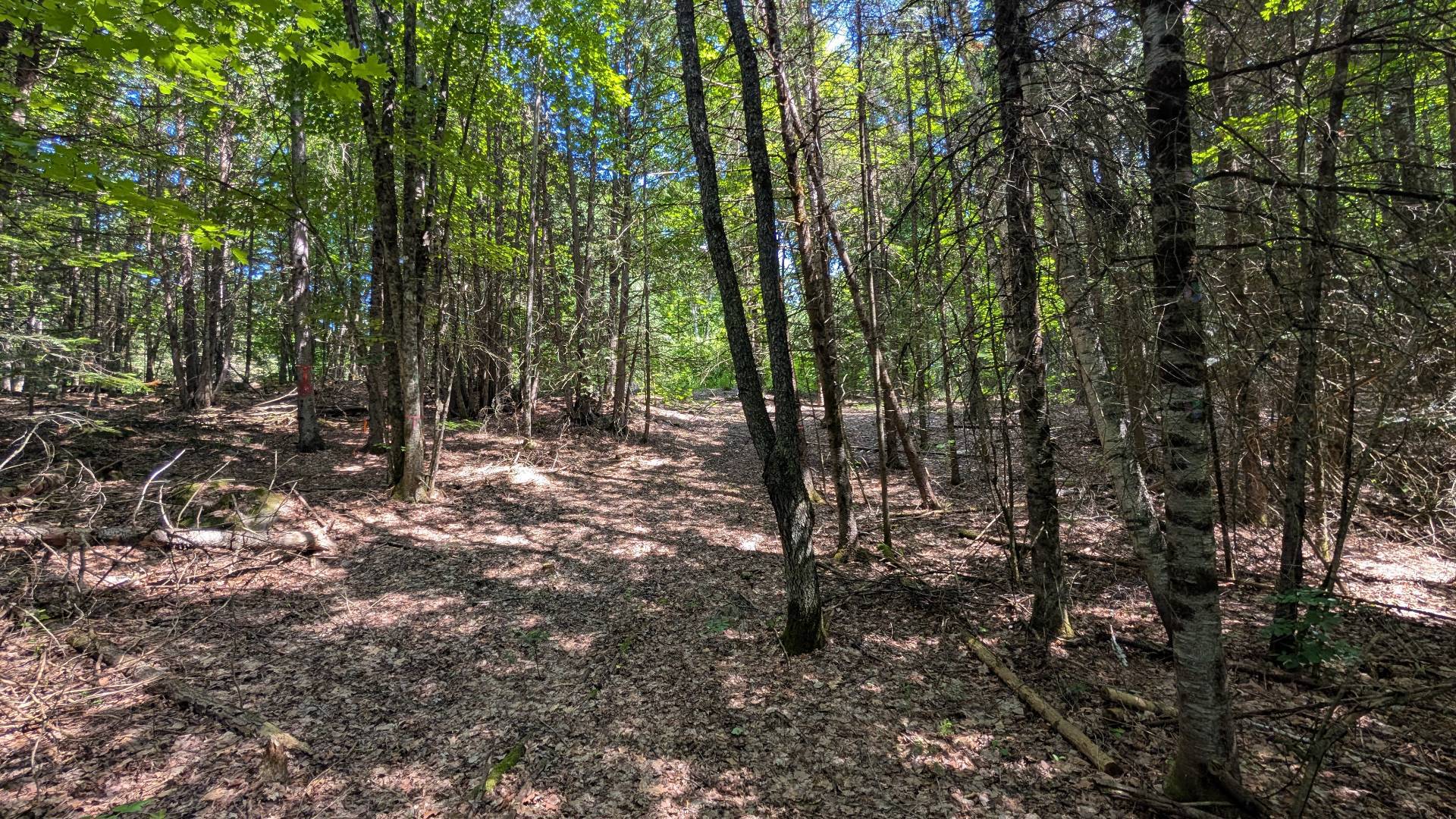 Land/Lot