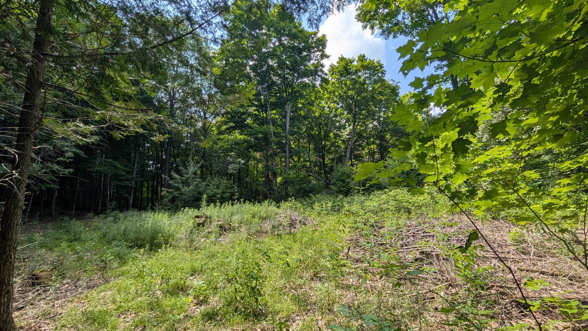 Land/Lot