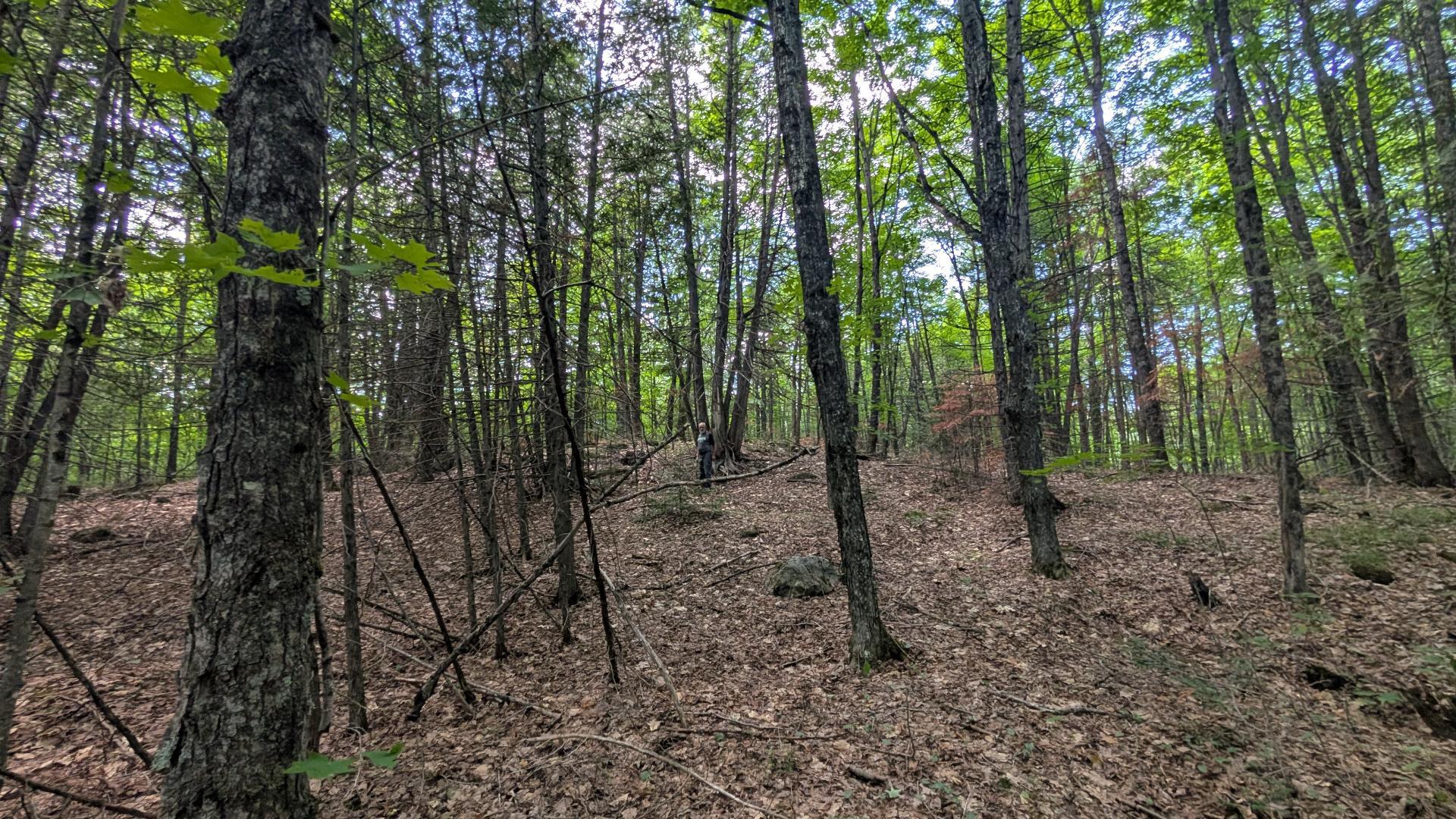 Land/Lot