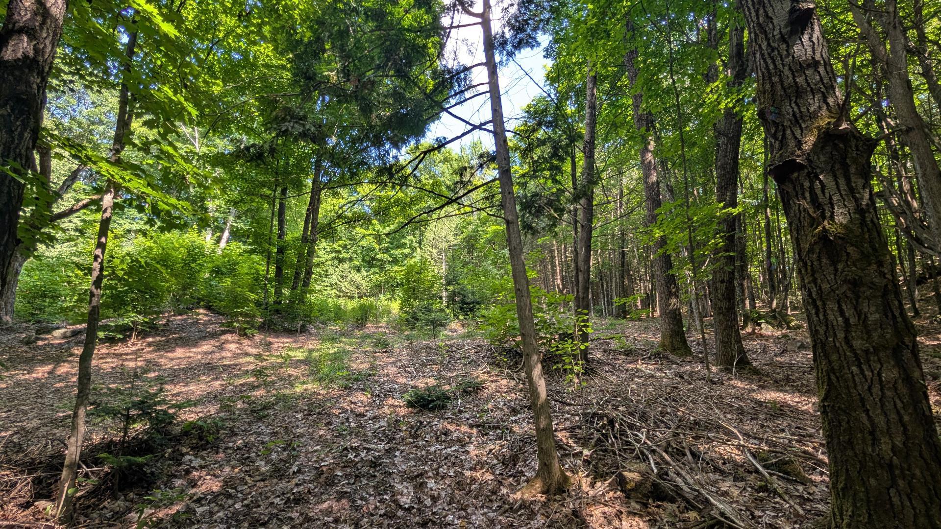 Land/Lot