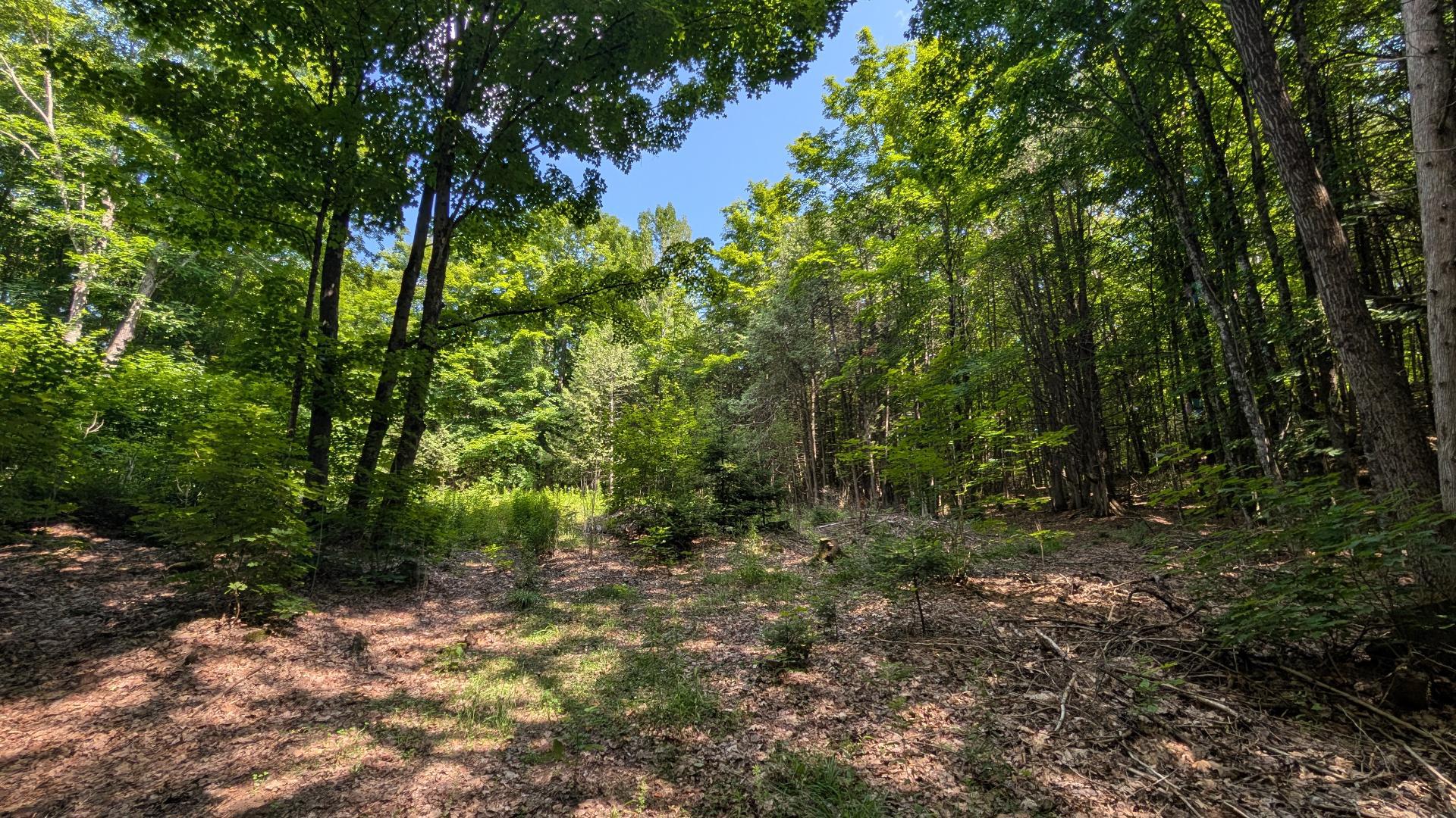 Land/Lot