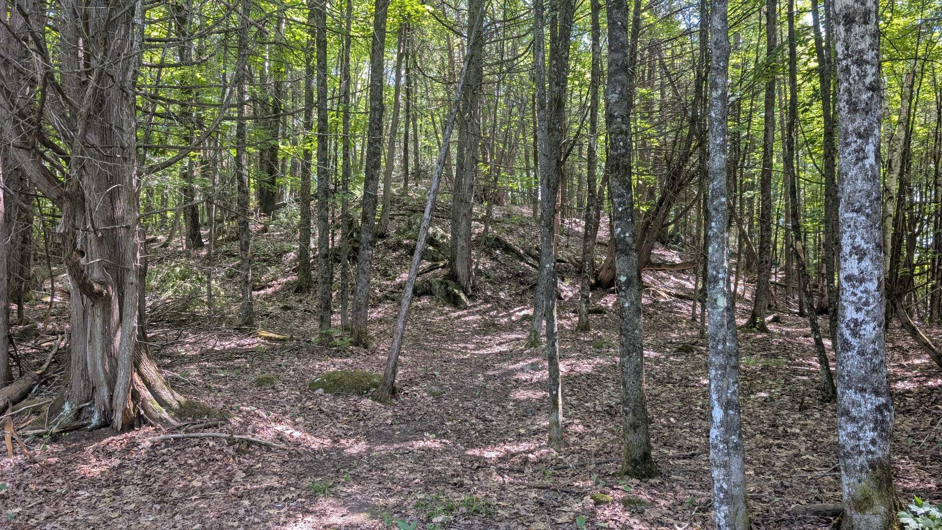 Land/Lot