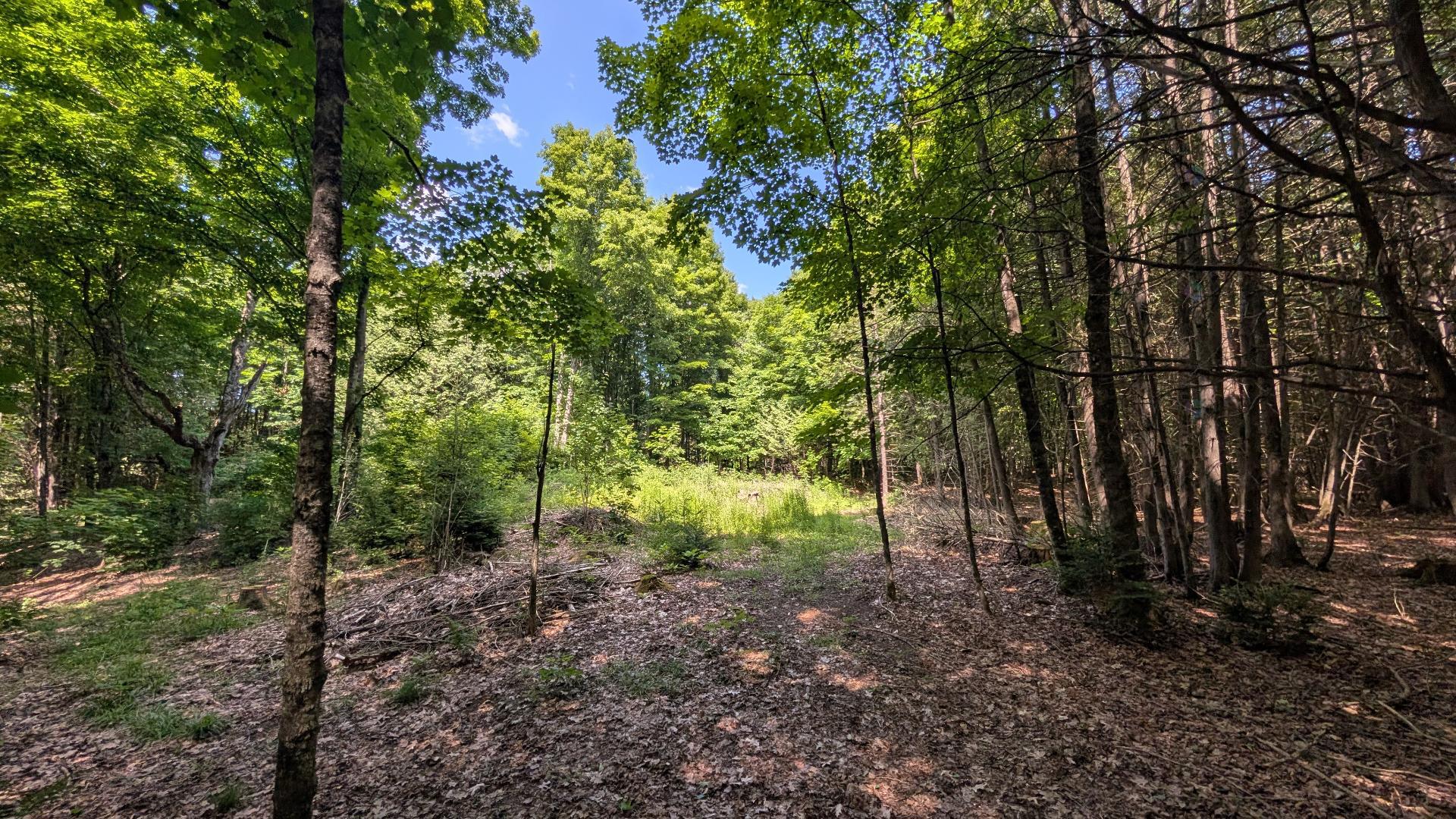 Land/Lot