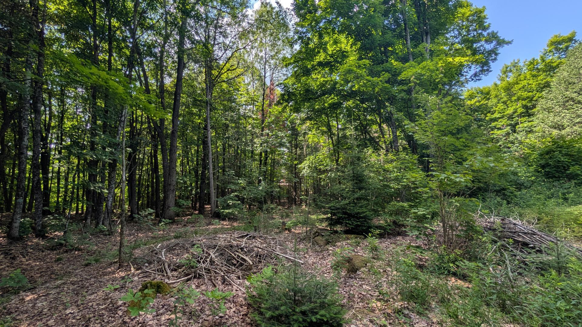 Land/Lot
