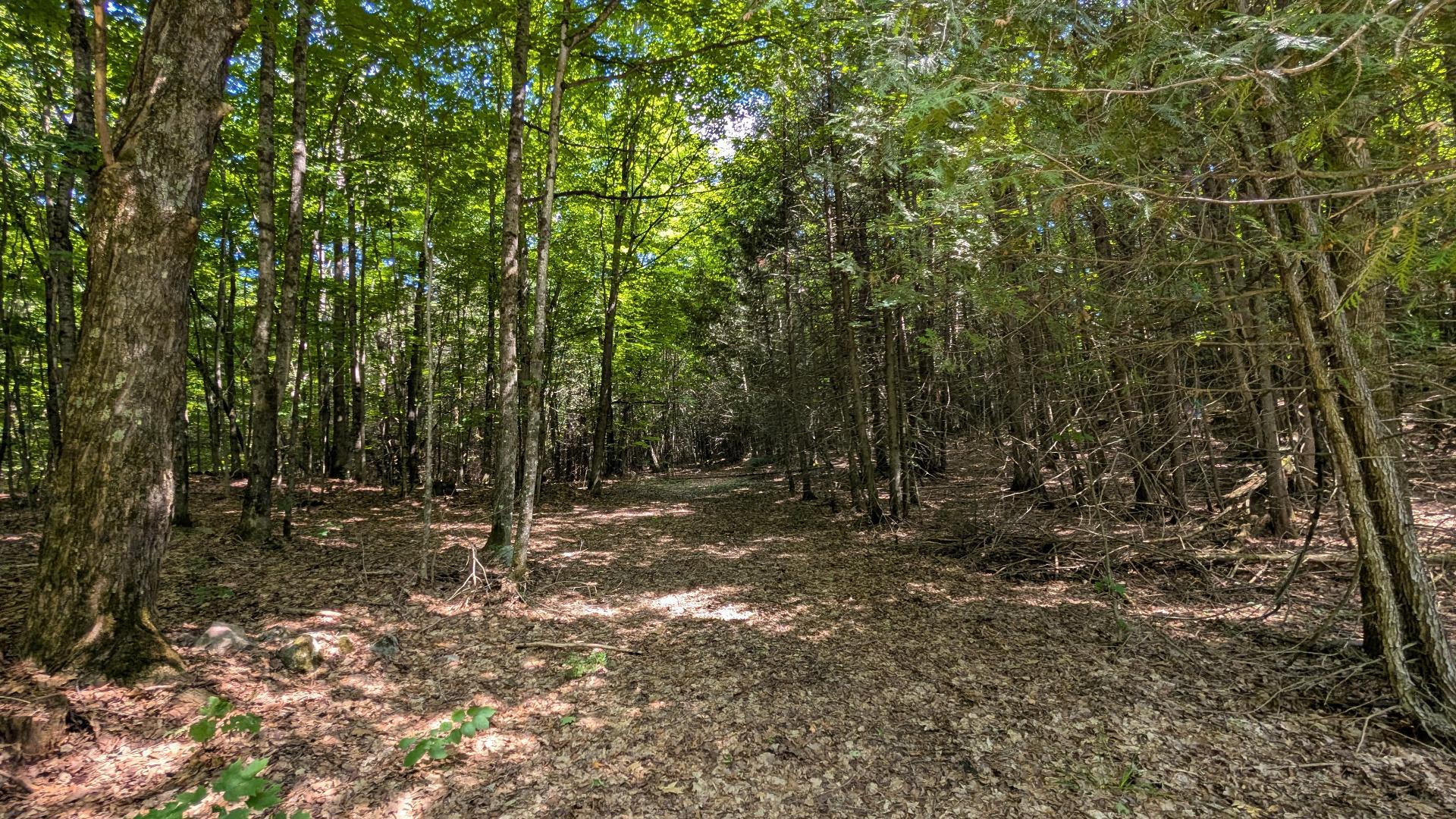 Land/Lot