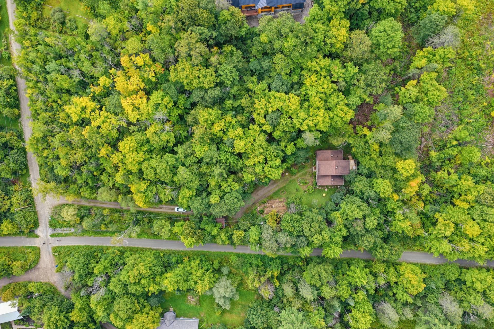 Aerial photo