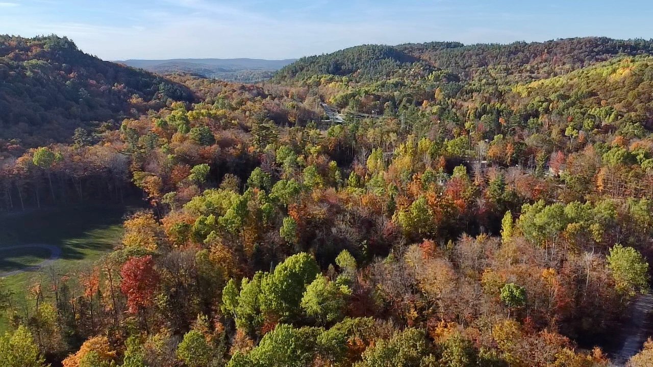 Aerial photo