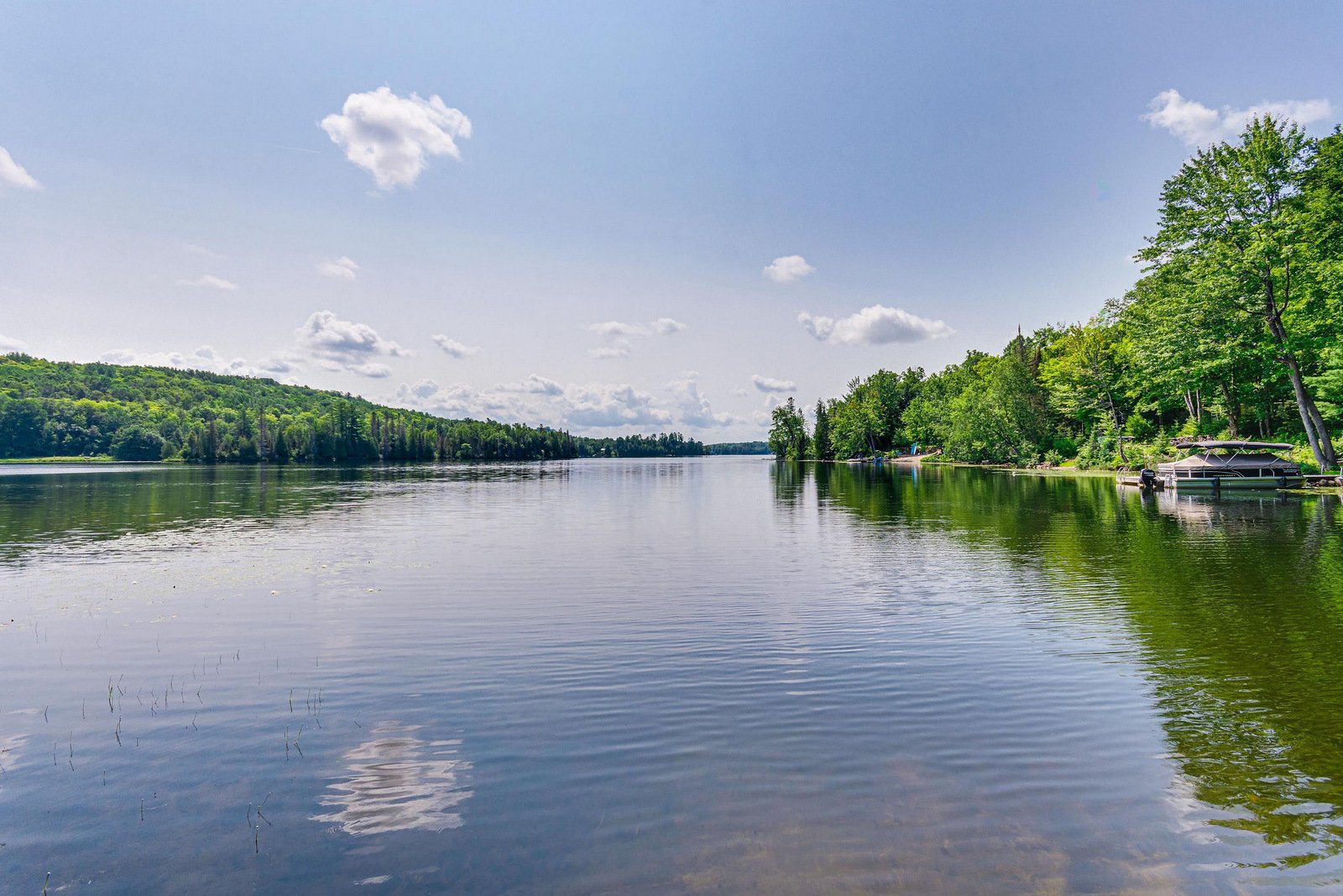Vue sur l'eau