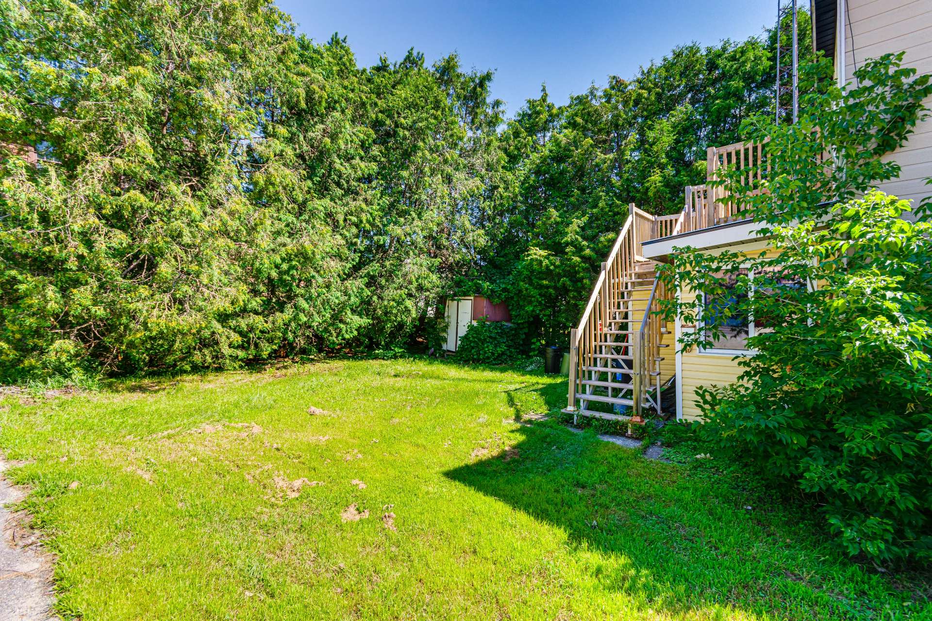 Backyard