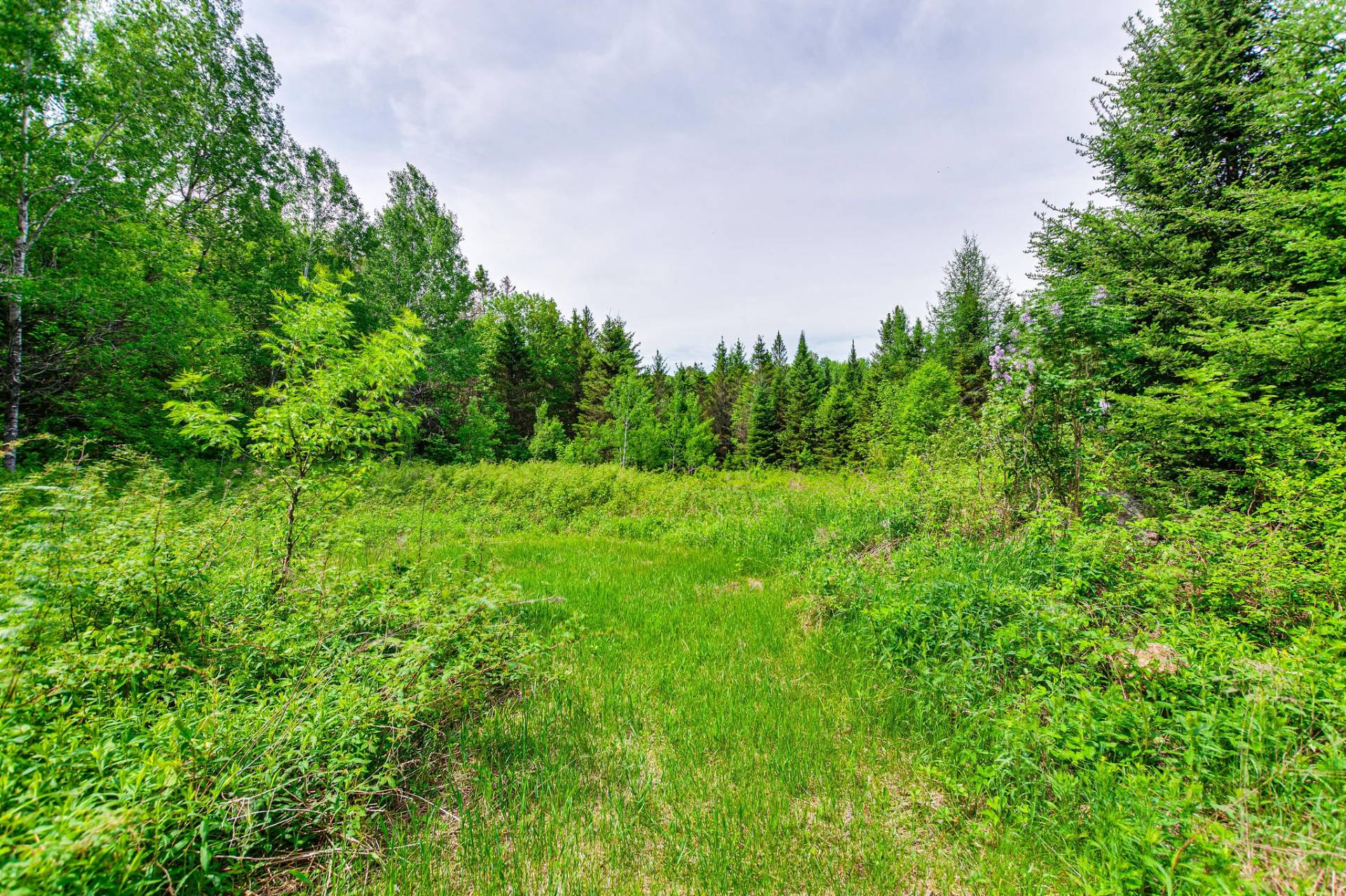 Land/Lot
