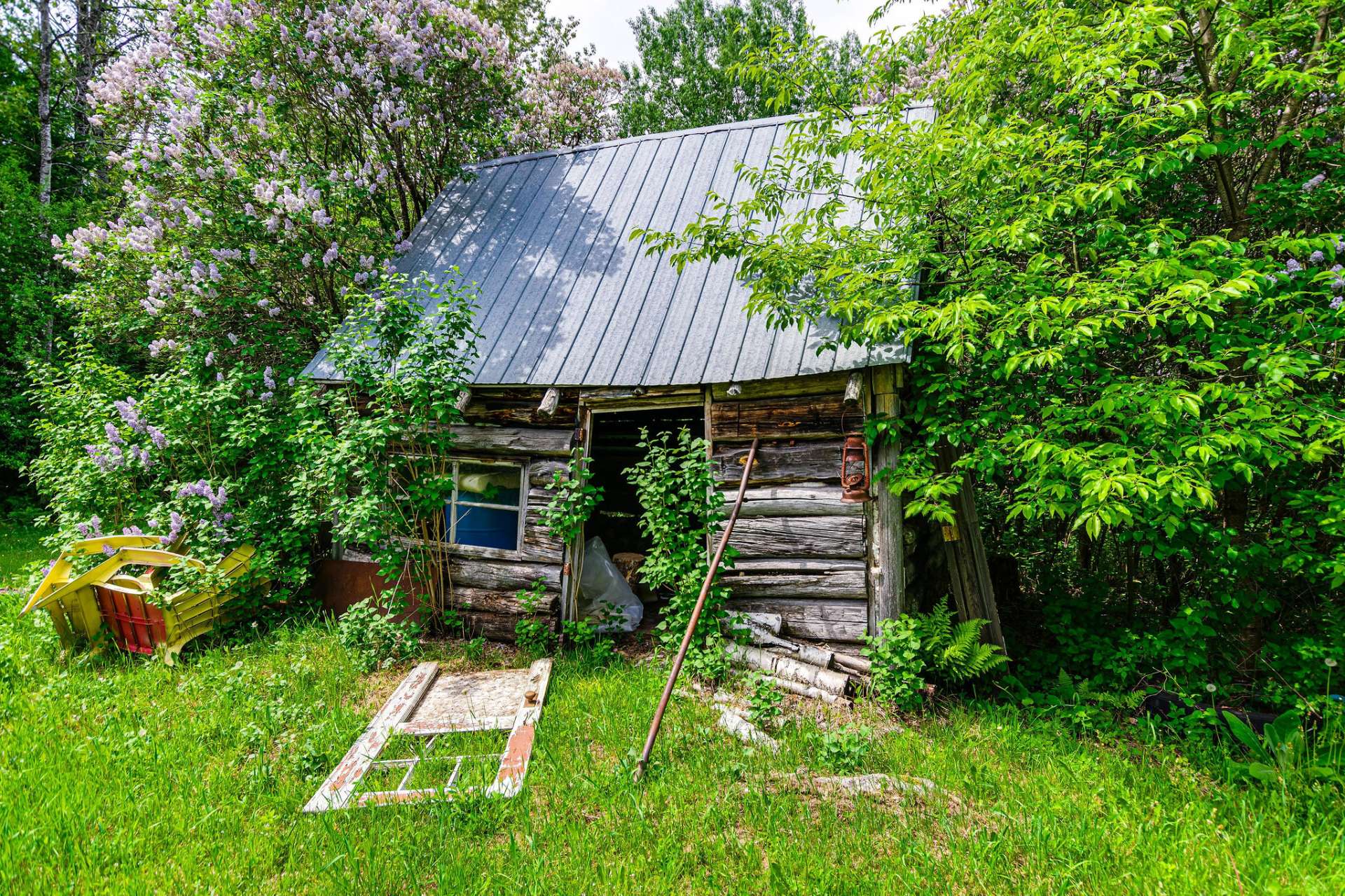 Shed
