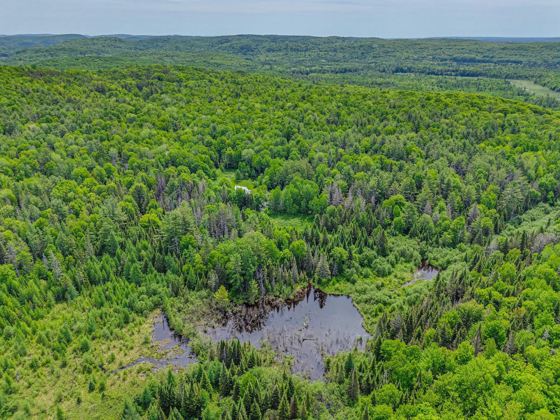 Aerial photo