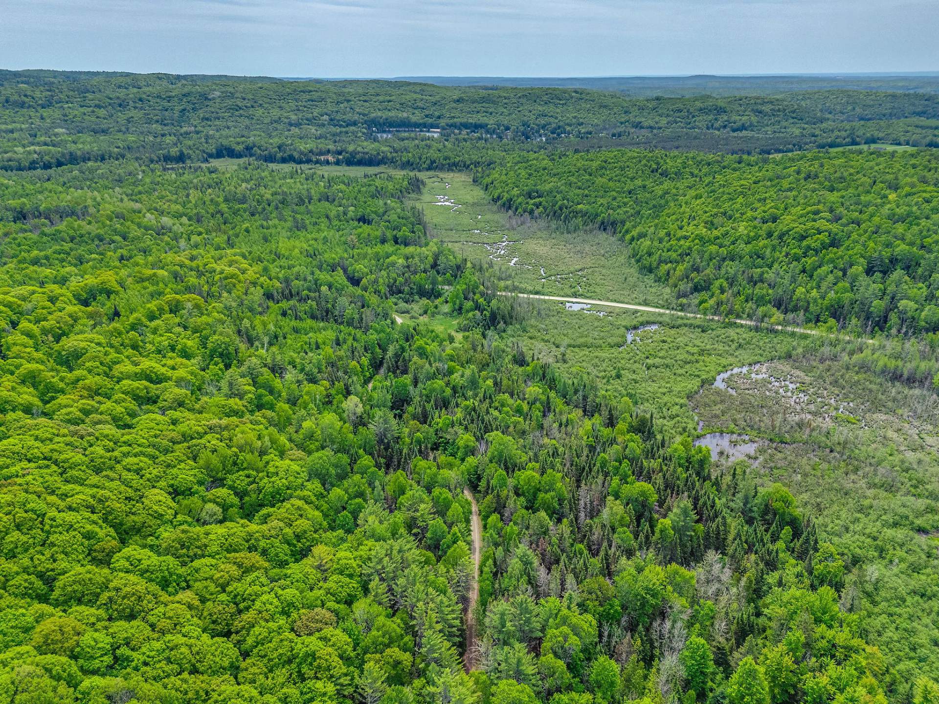 Aerial photo