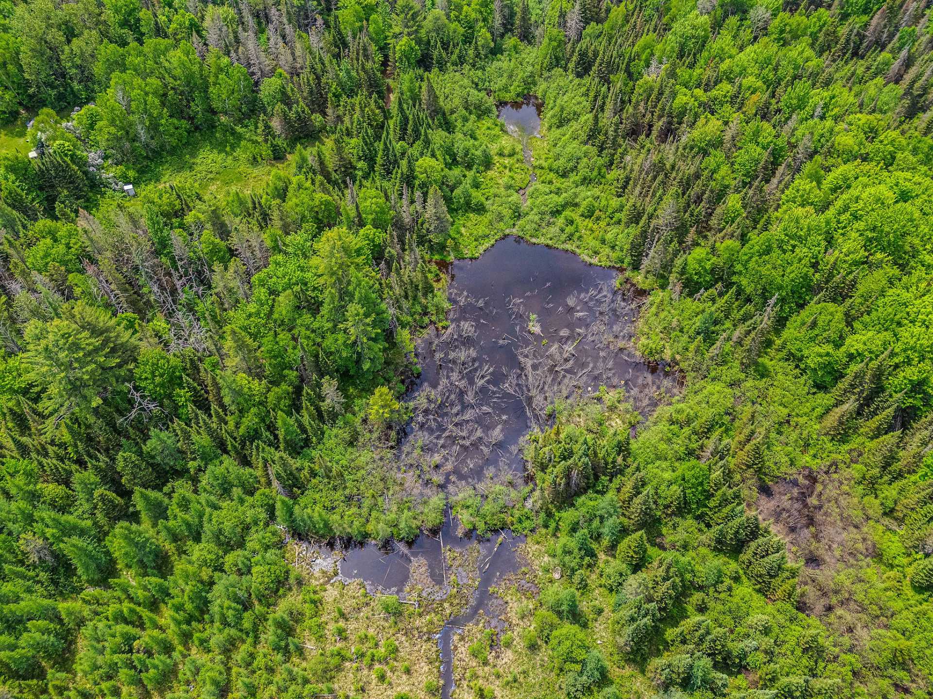Aerial photo