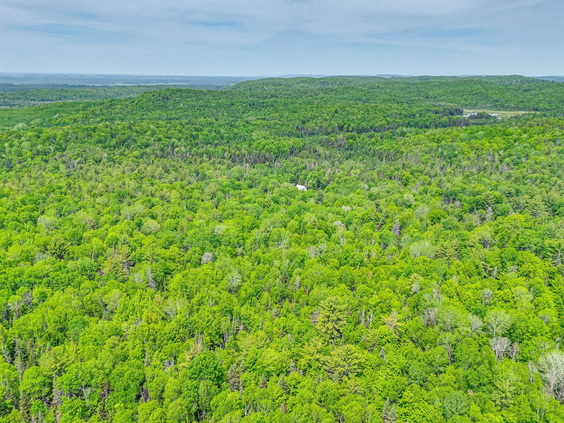 Aerial photo