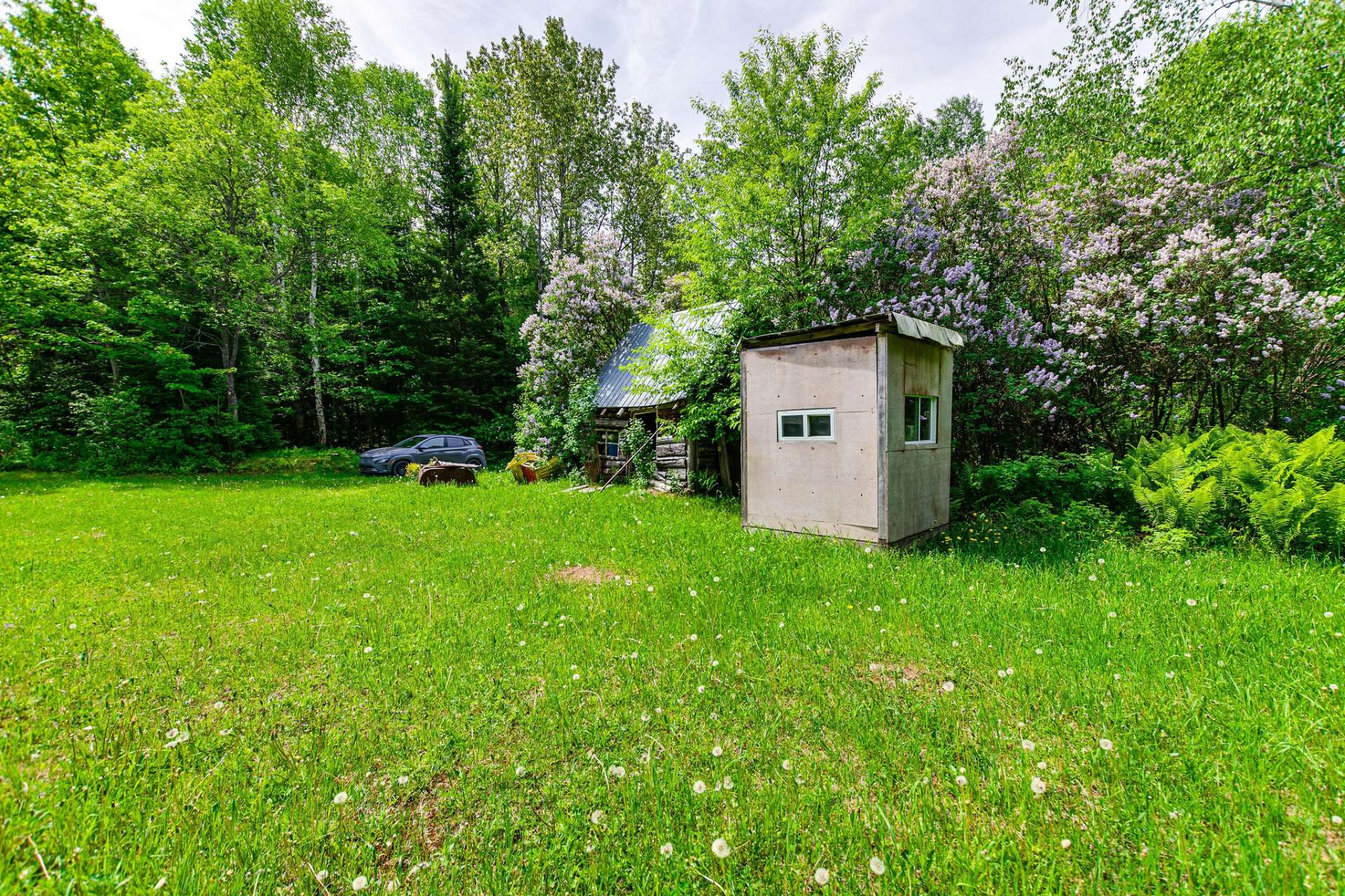 Shed
