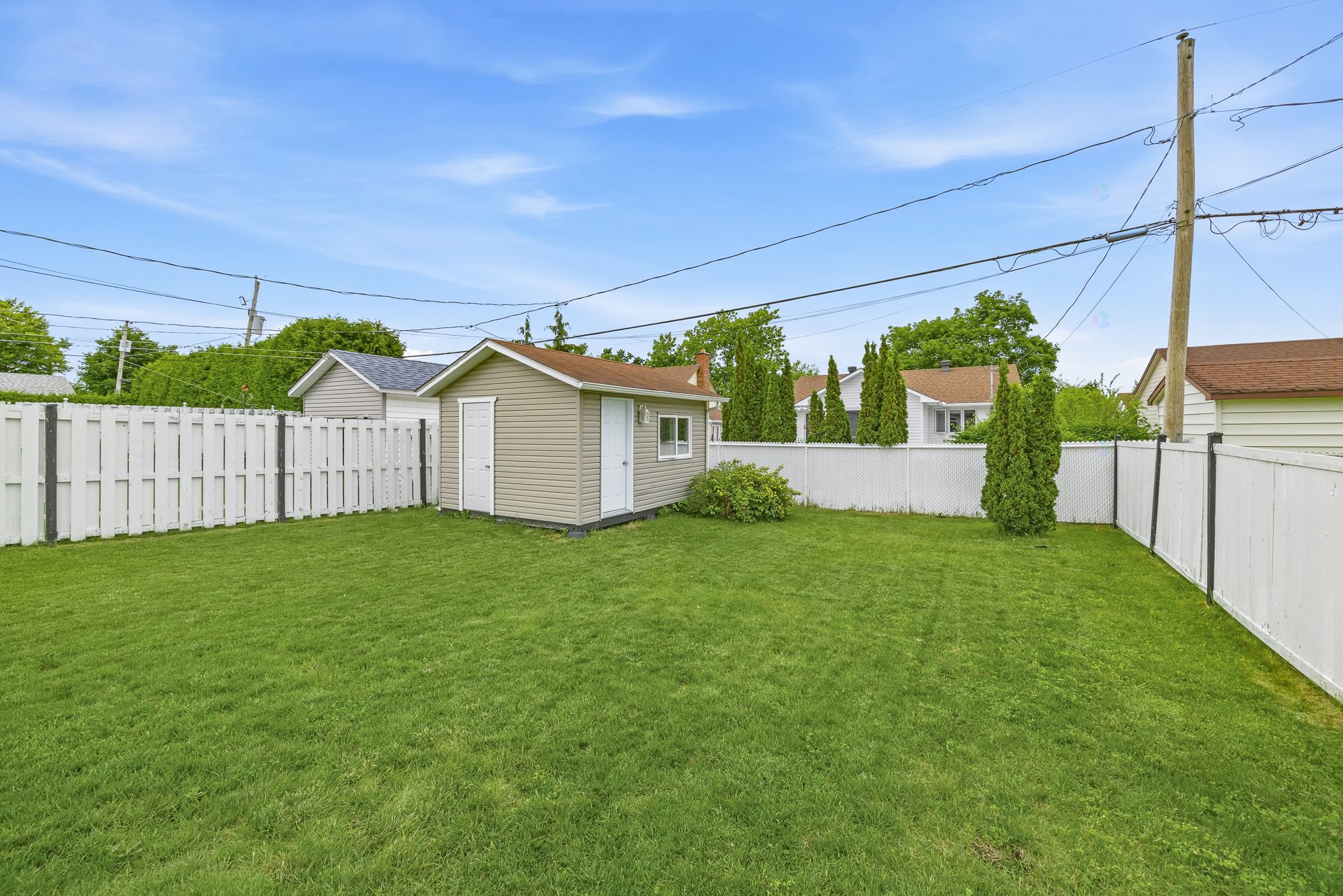 Backyard