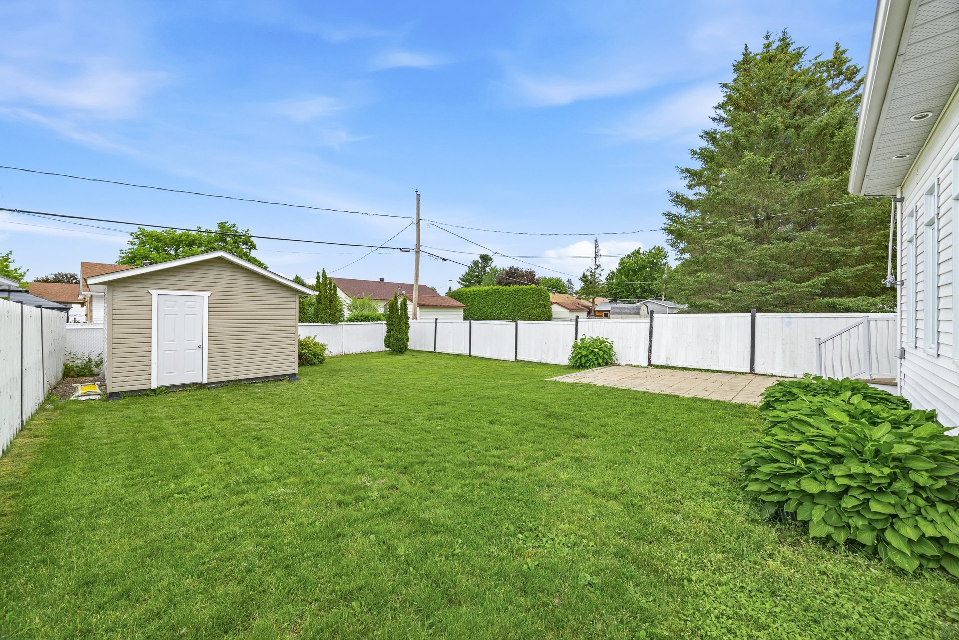 Backyard