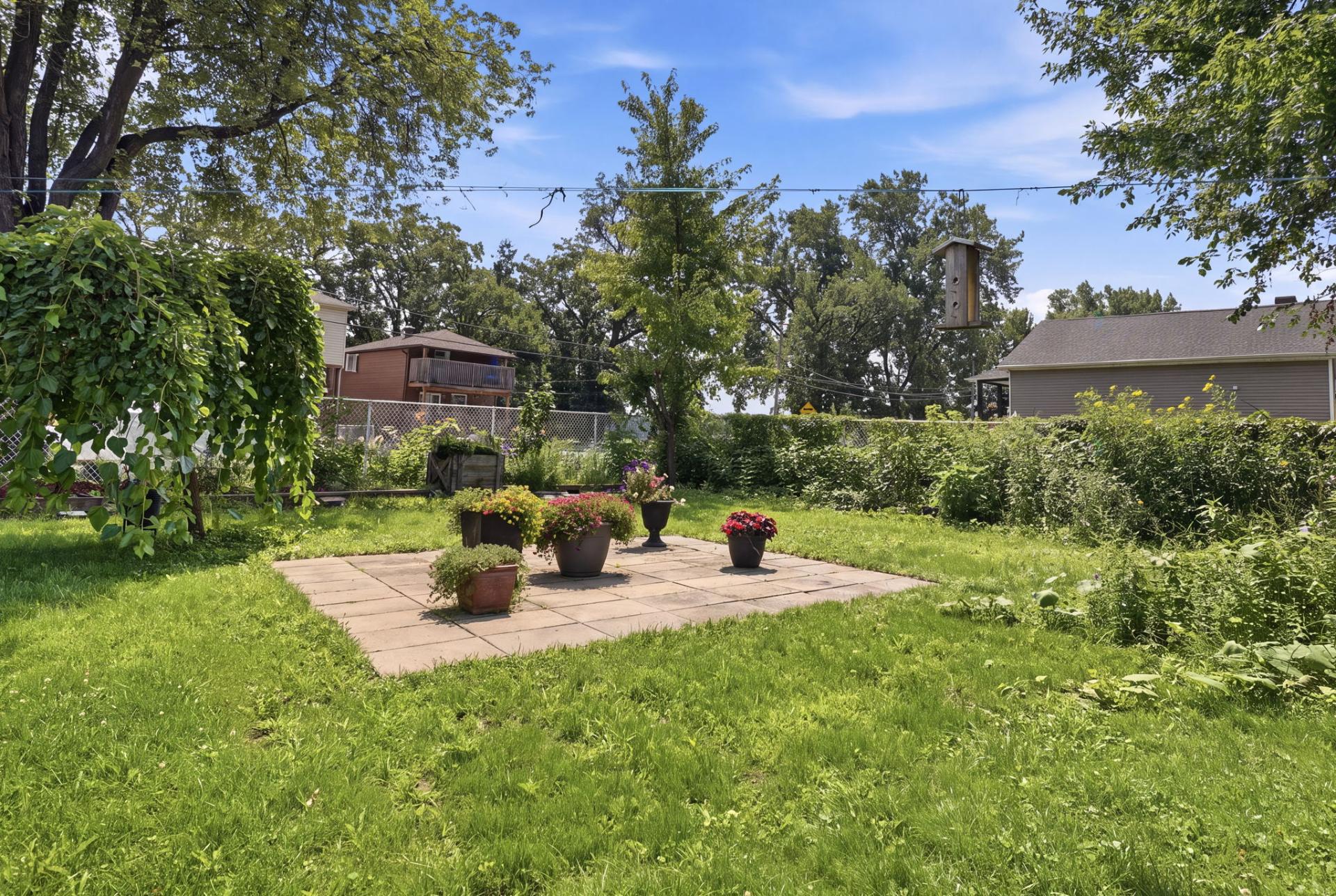 Backyard