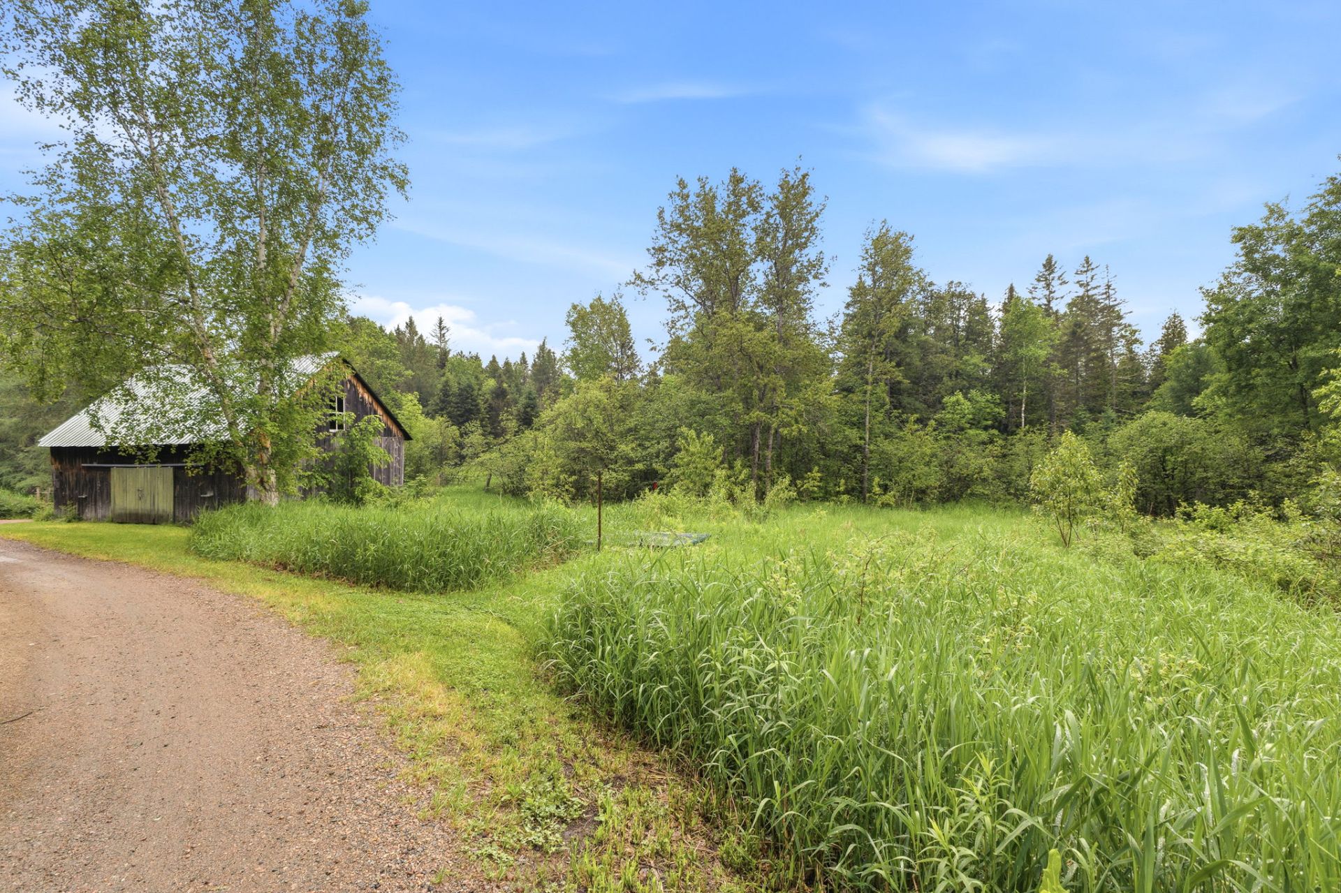 Land/Lot