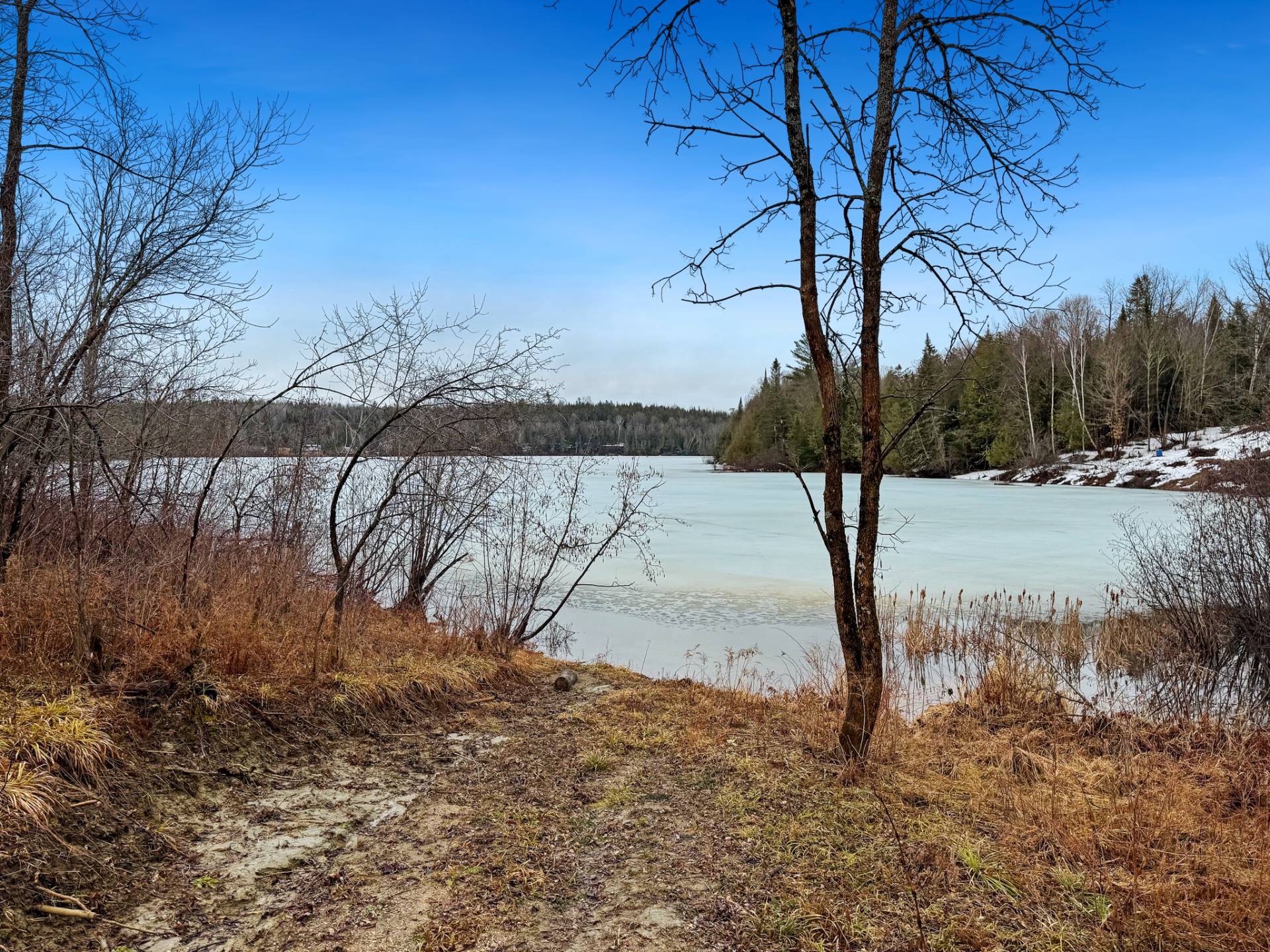 Land/Lot