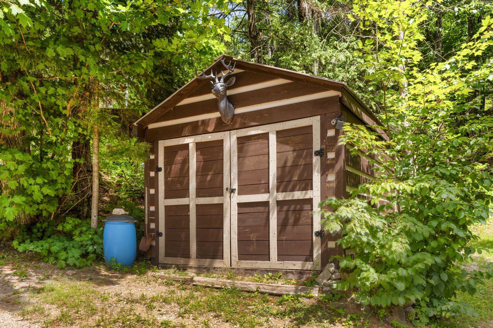 Shed