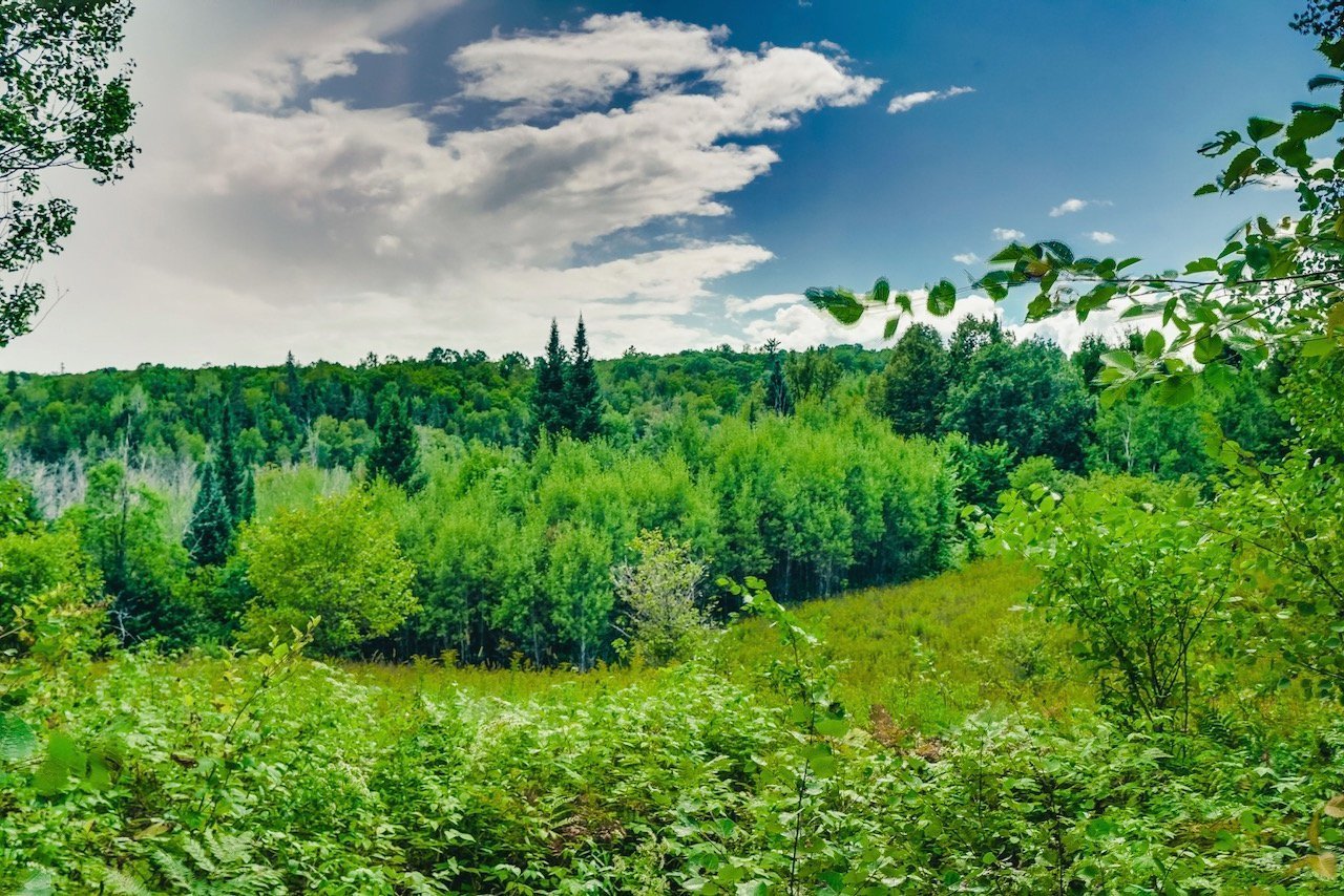 Terre/Terrain