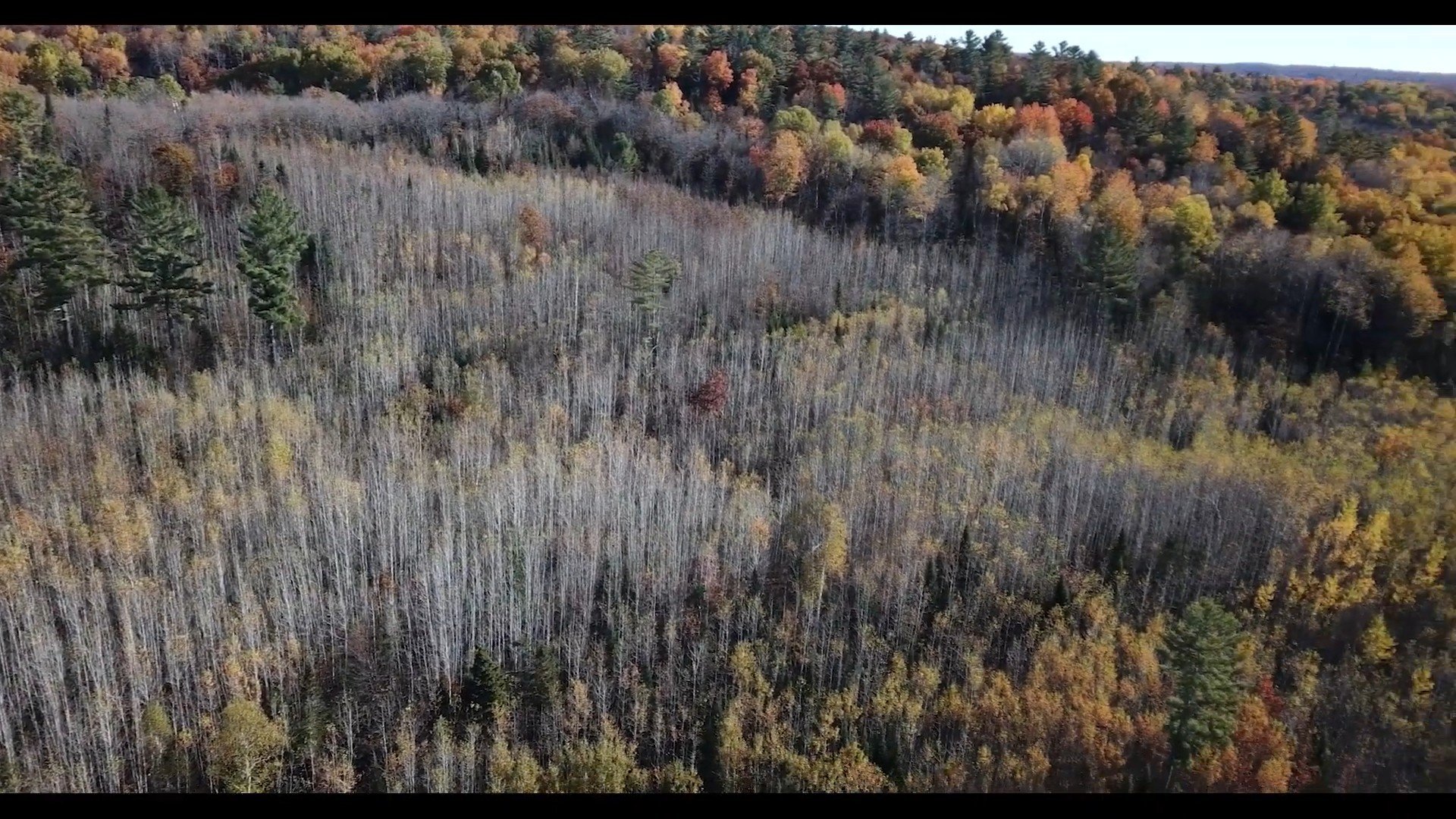 Vue d'ensemble