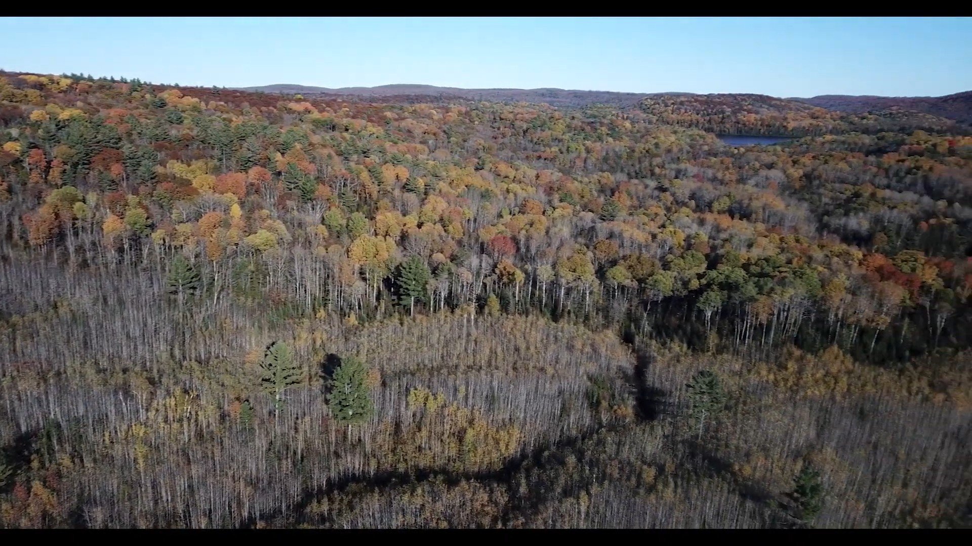 Vue d'ensemble