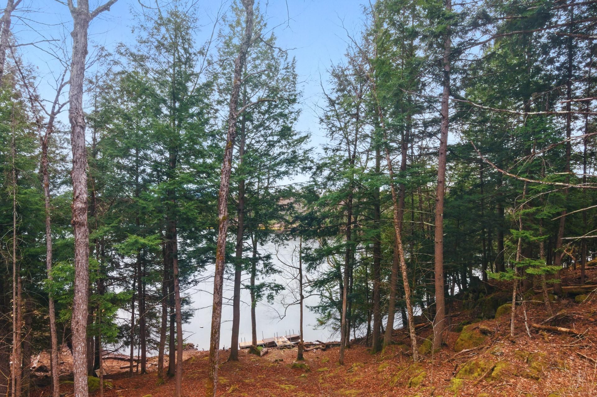 Vue sur l'eau