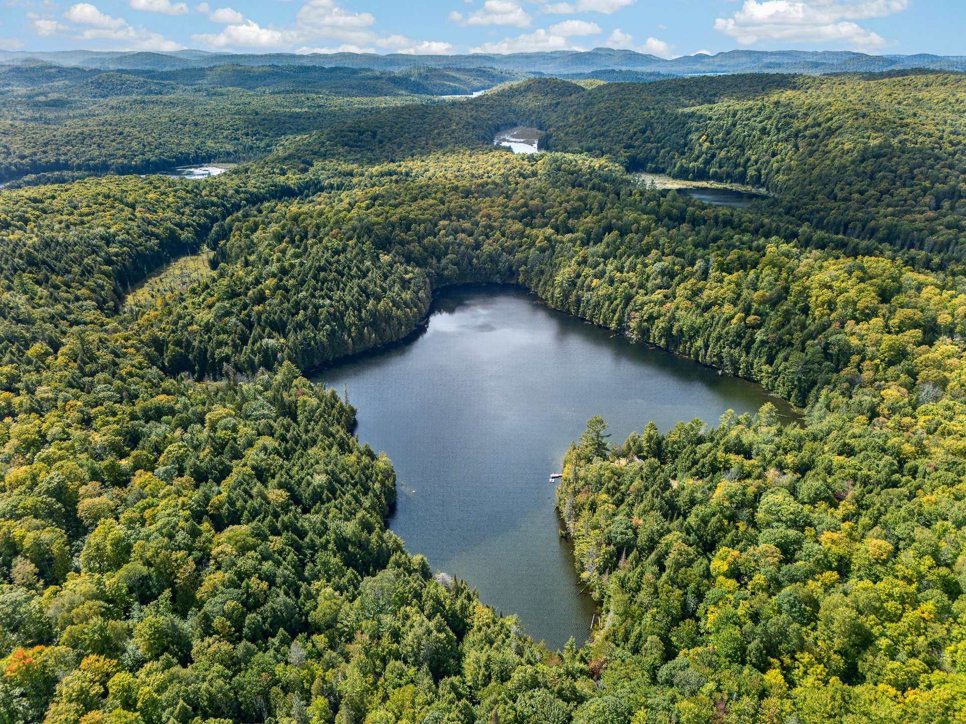 Aerial photo