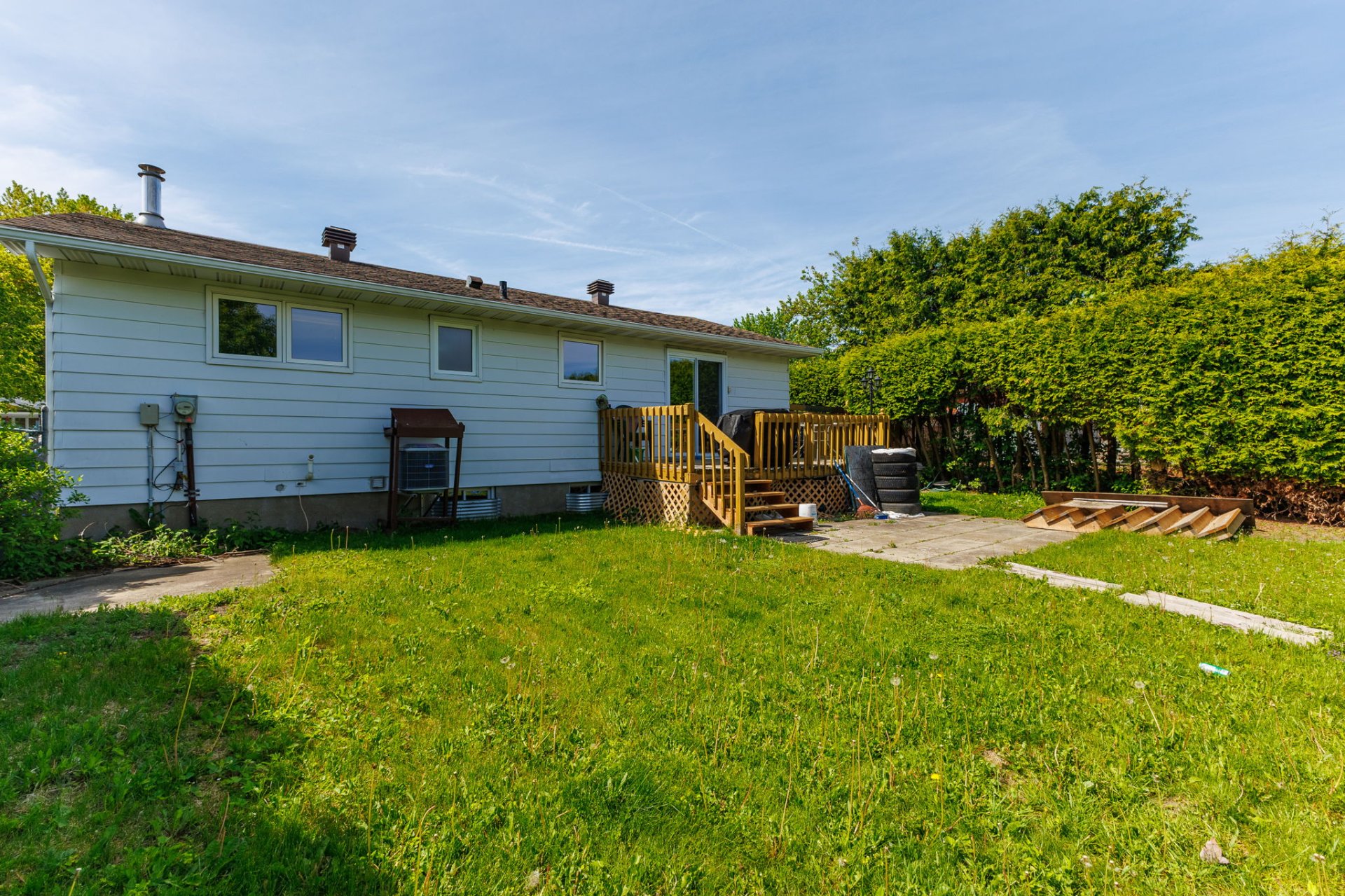 Backyard