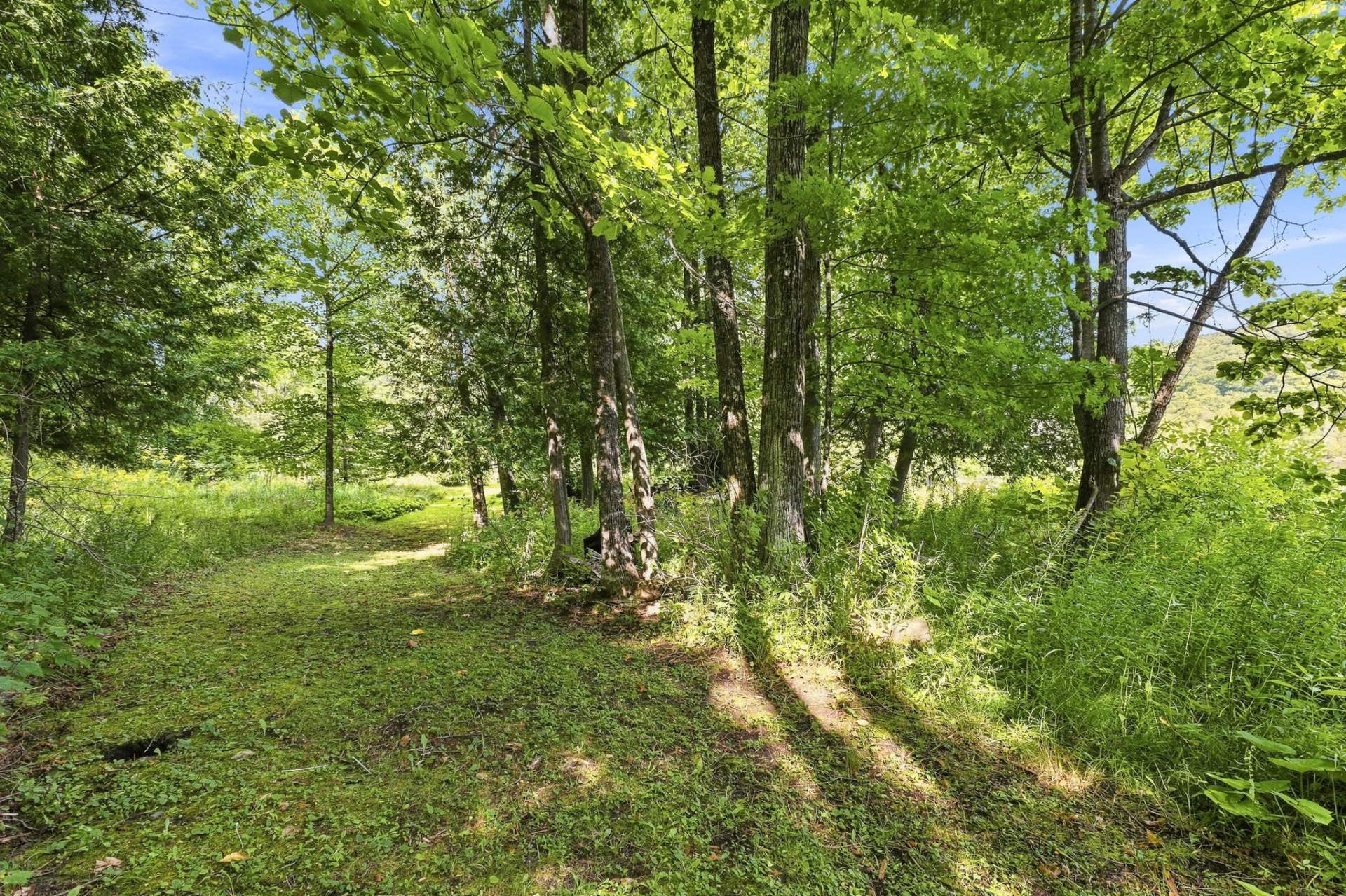 Terre/Terrain