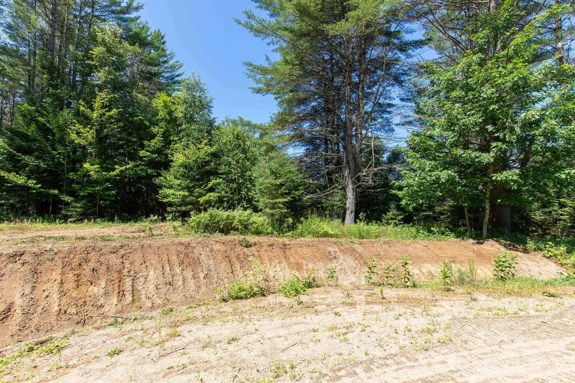 Land/Lot
